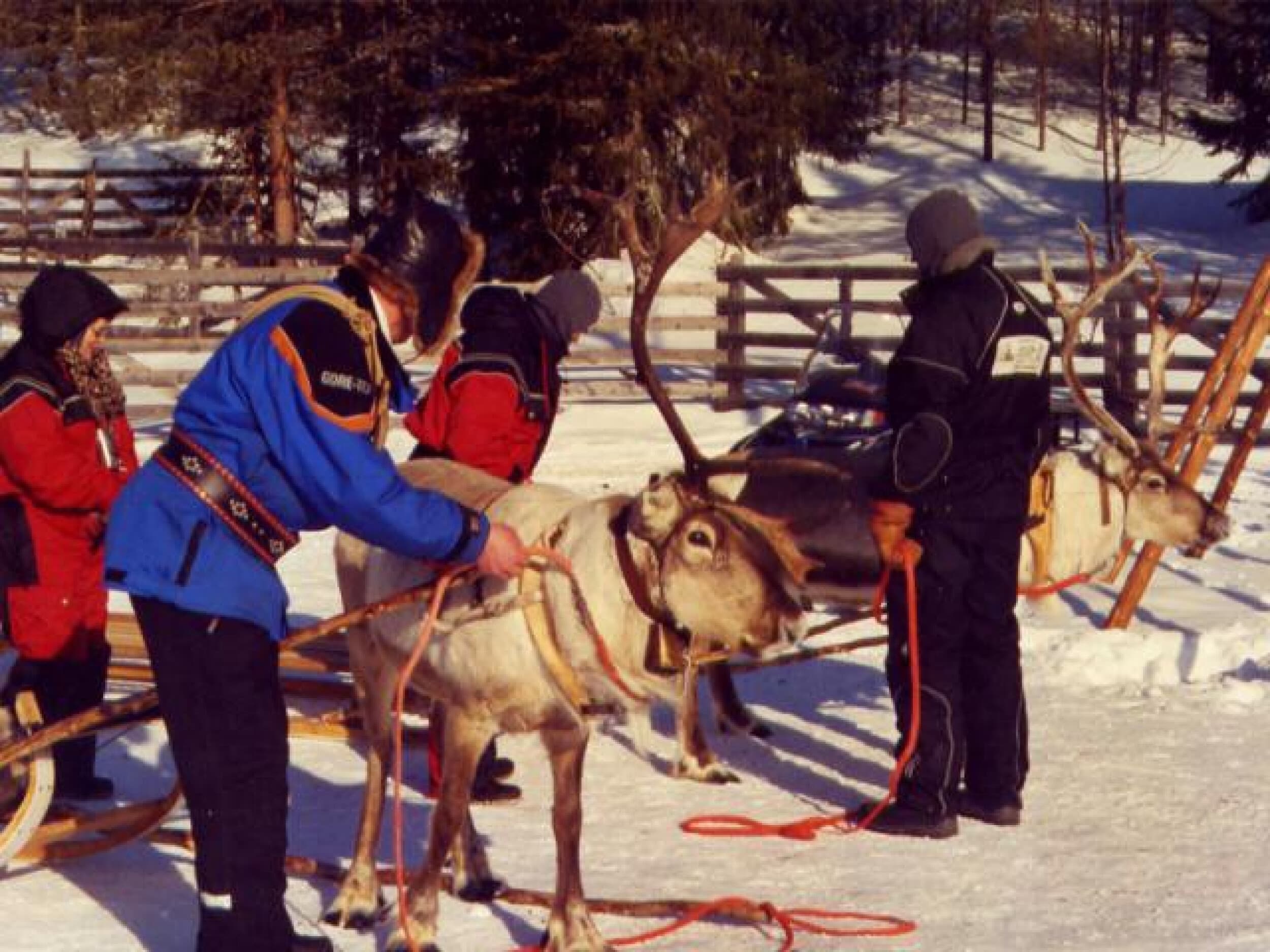 Porosafari kahdelle | Kuusamo | Elamyslahjat