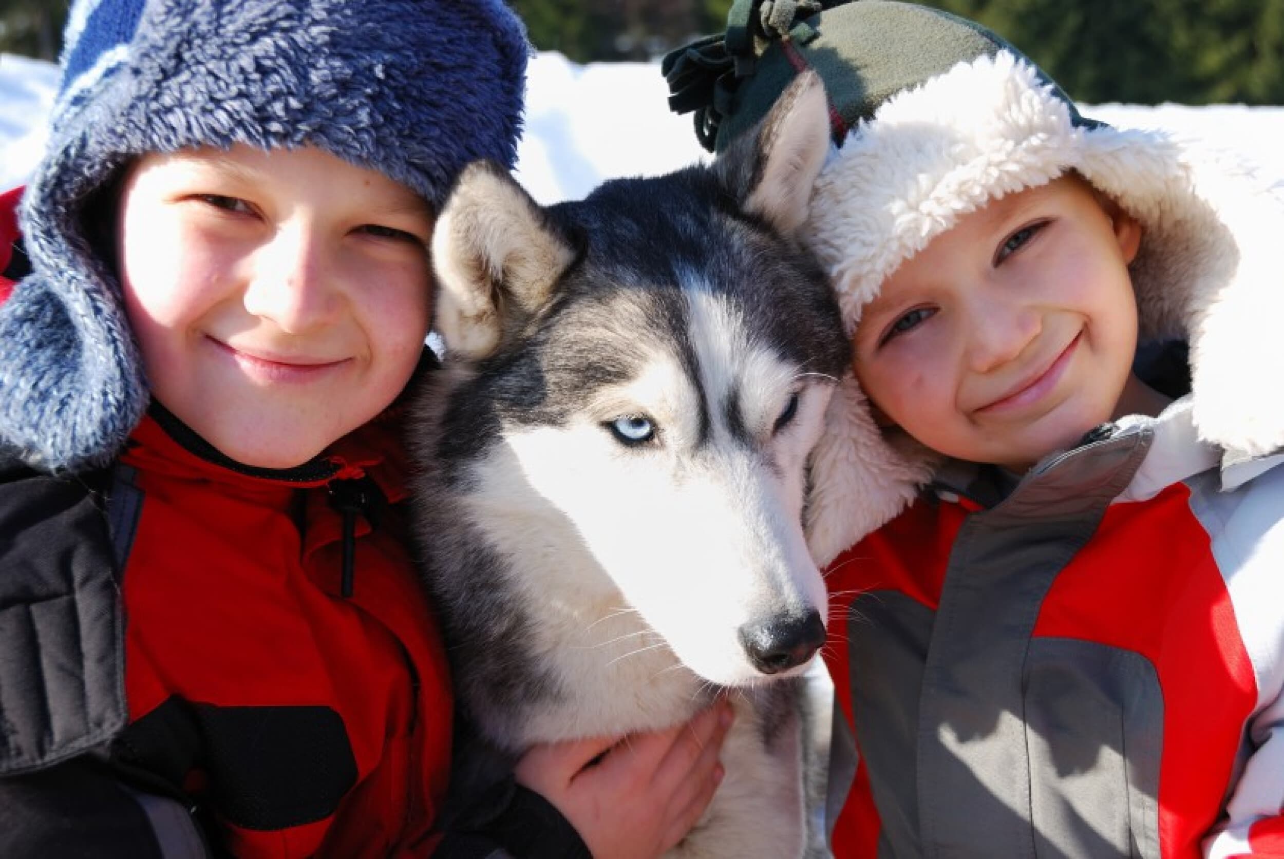 Huskysafari neljälle | Kuusamo