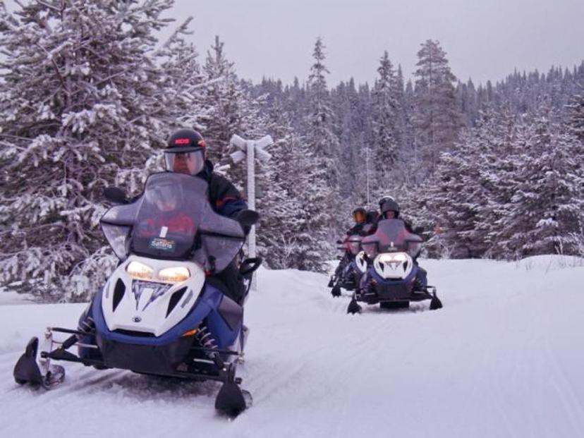 Moottorikelkkasafari neljälle | Kuusamo