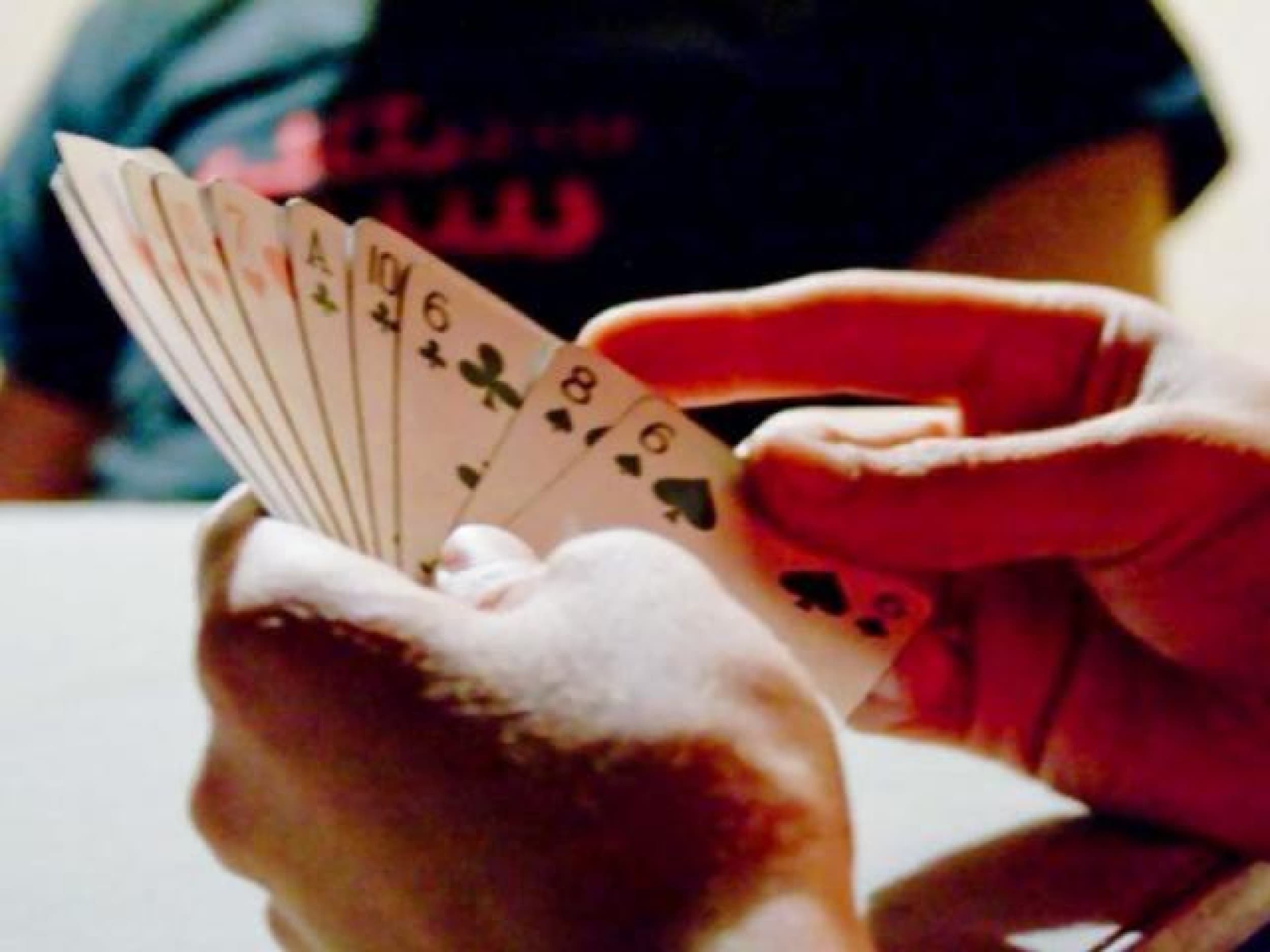 Ohjattu pokeriturnaus 10:lle | Helsinki | Elamyslahjat