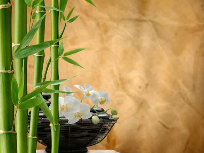 Fengshui pikasiivous | Ympäri Suomen