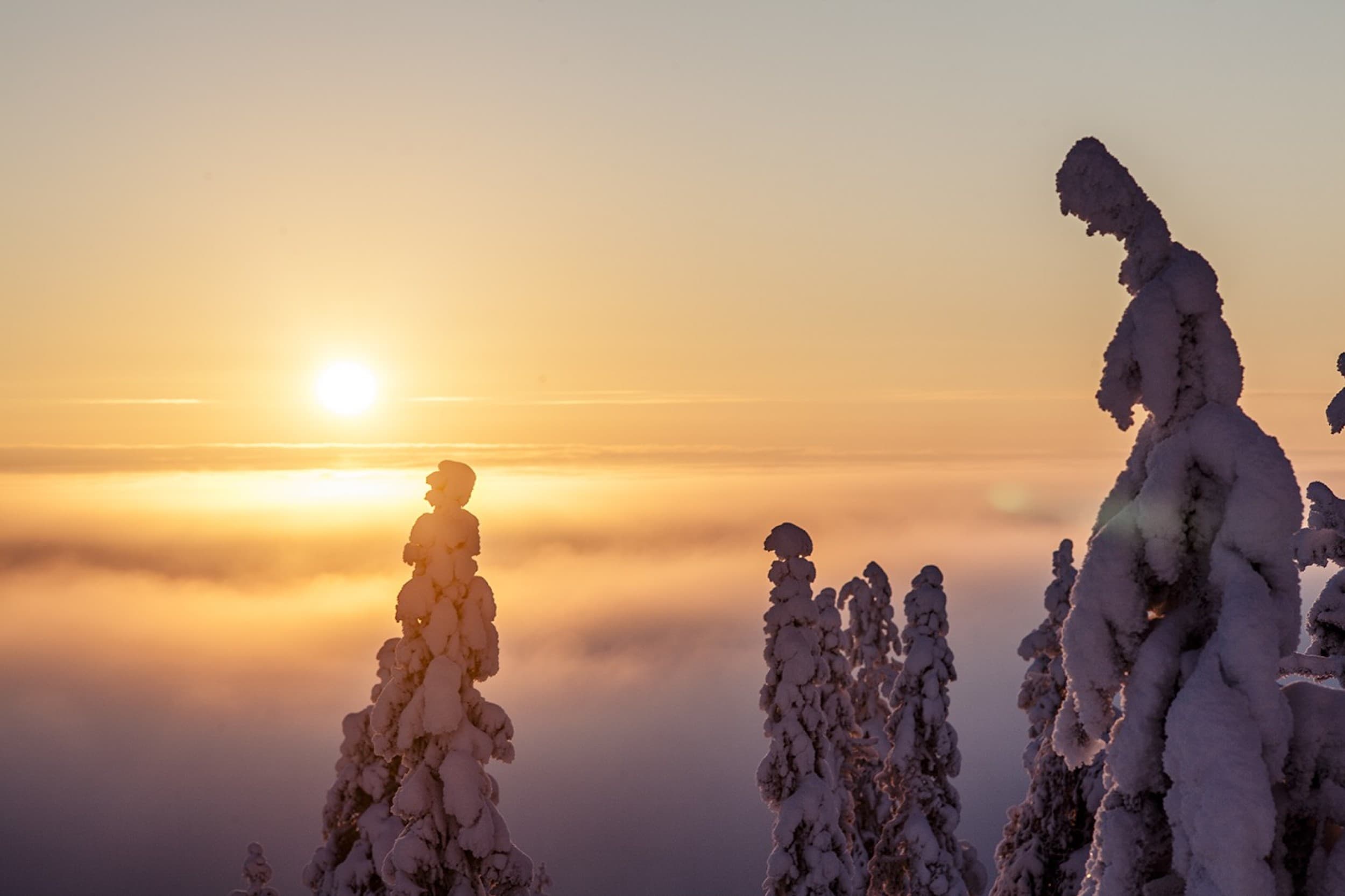 Romantiikkaa Kotkanpesän sviitissä | Pudasjärvi | Elamyslahjat
