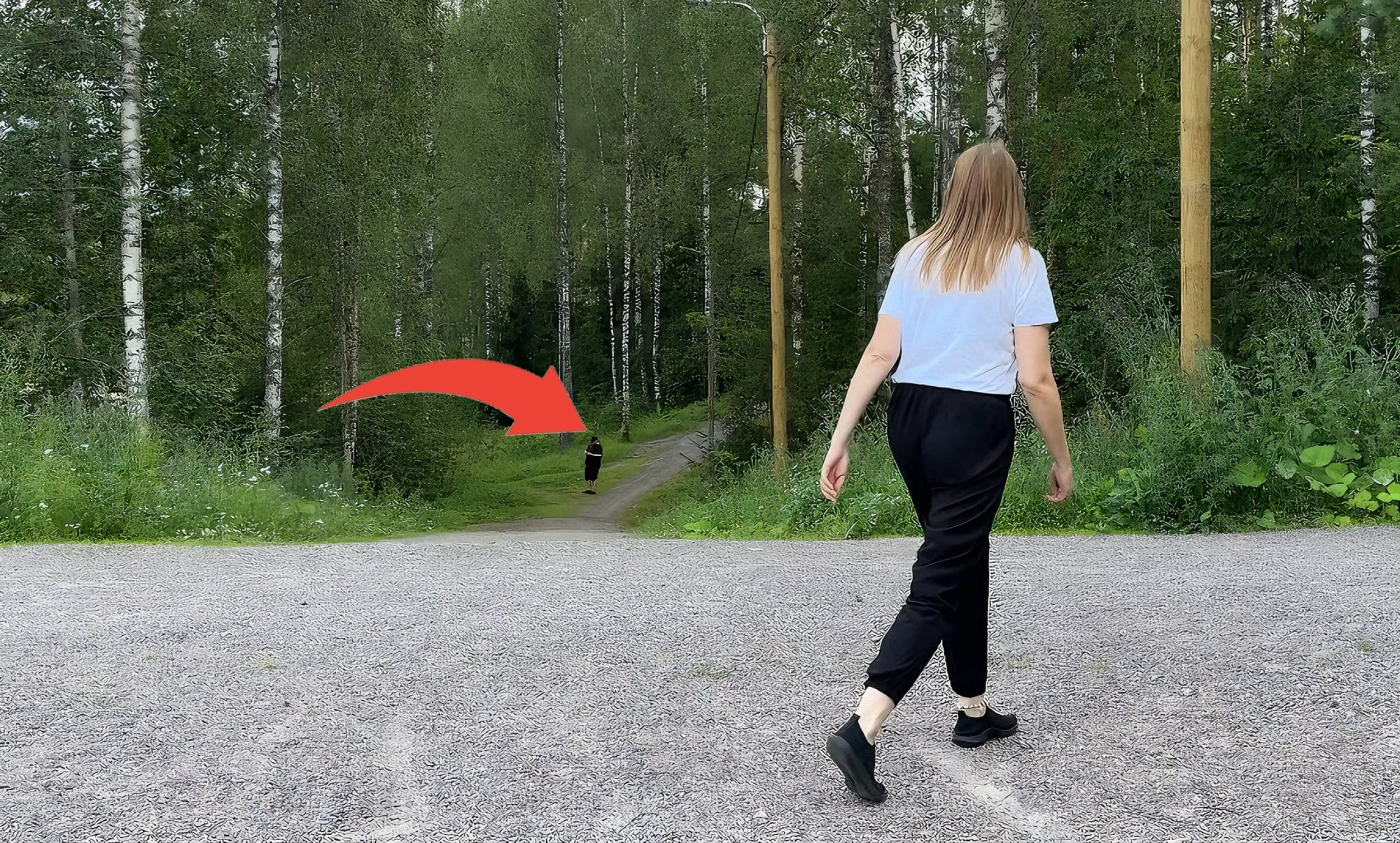Mimmiturva – Itsepuolustuksen verkkovalmennus | Online | Elamyslahjat