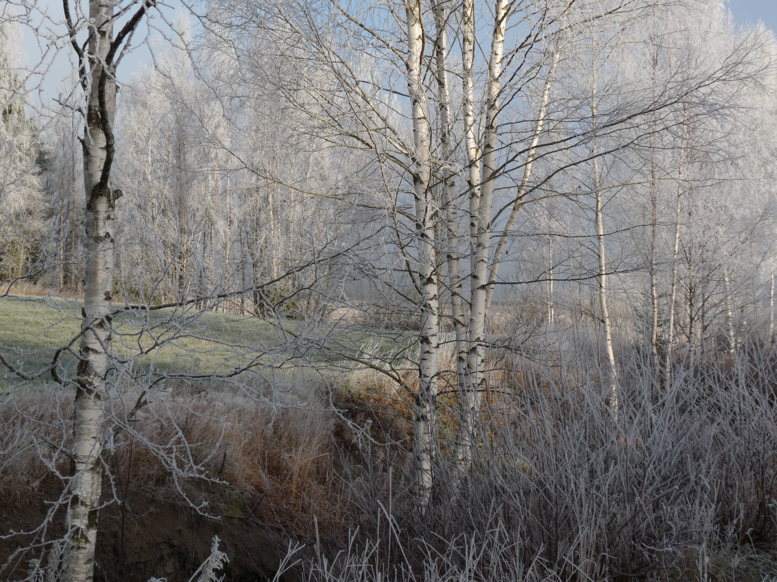 Mindfulness-kurssi | Seinäjoki | Elamyslahjat