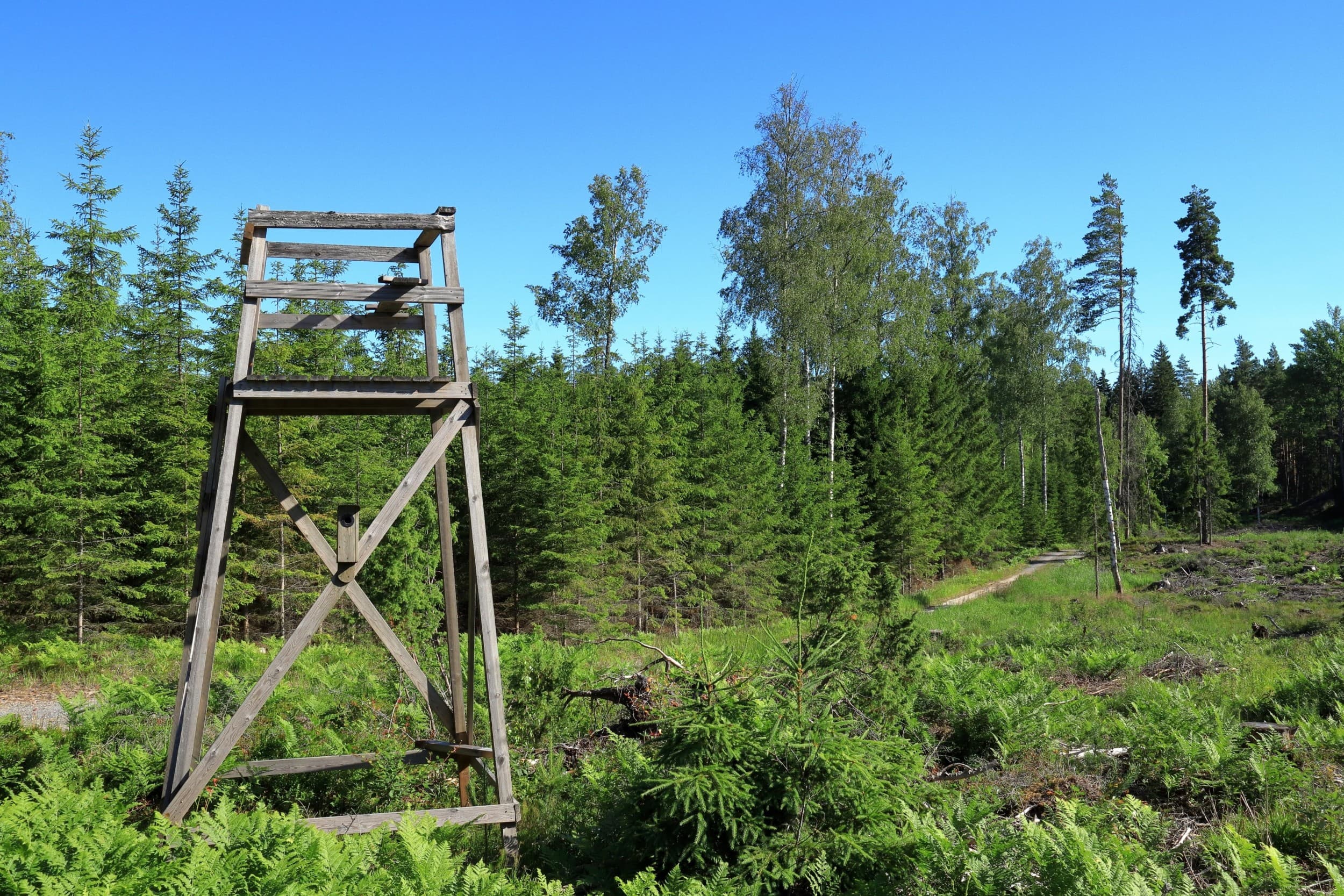 Rento mieli ja keho 8-15 henkilölle | Nurmijärvi | Elamyslahjat