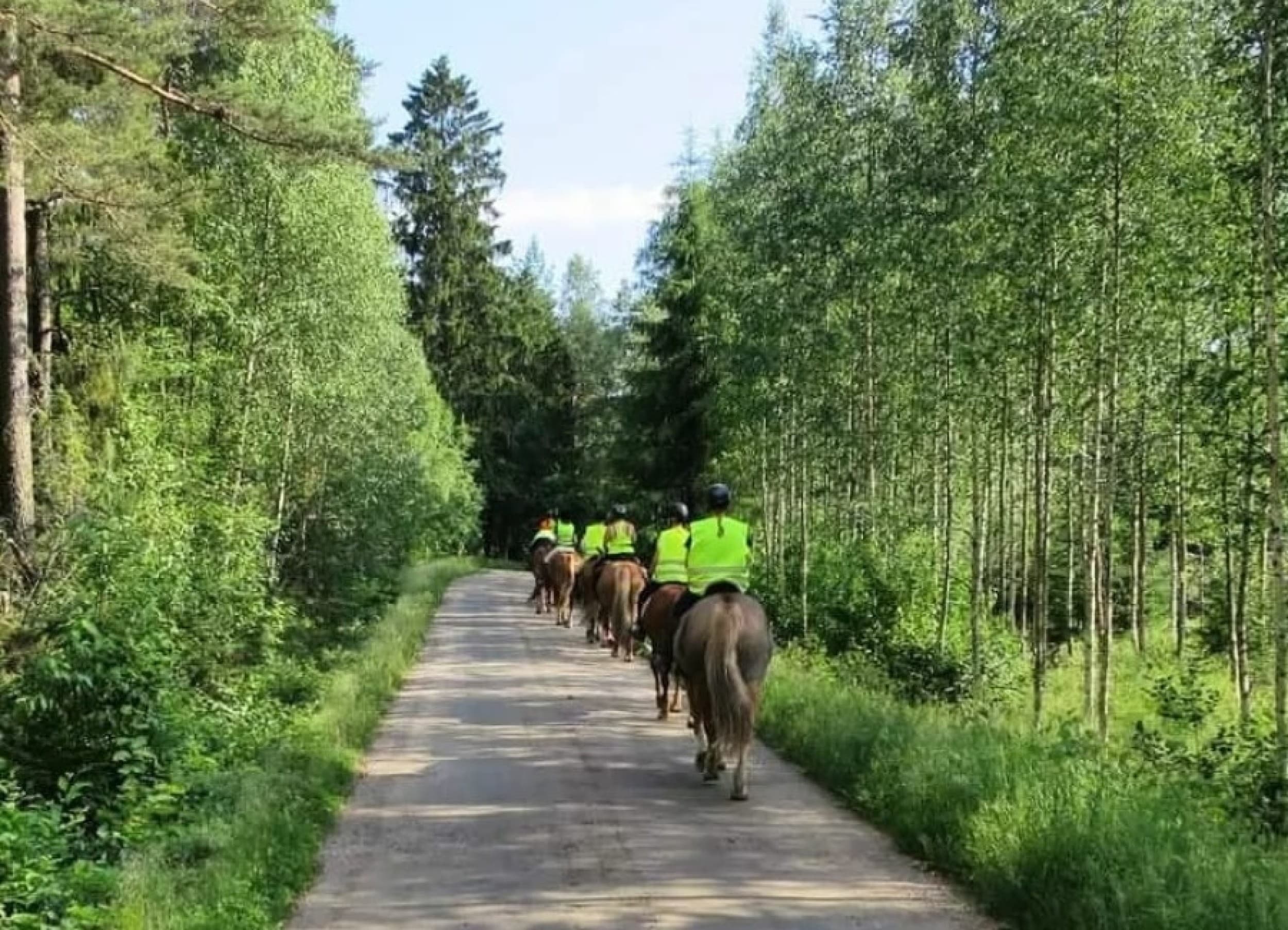 Maastoratsastus kahdelle | Marttila | Elamyslahjat