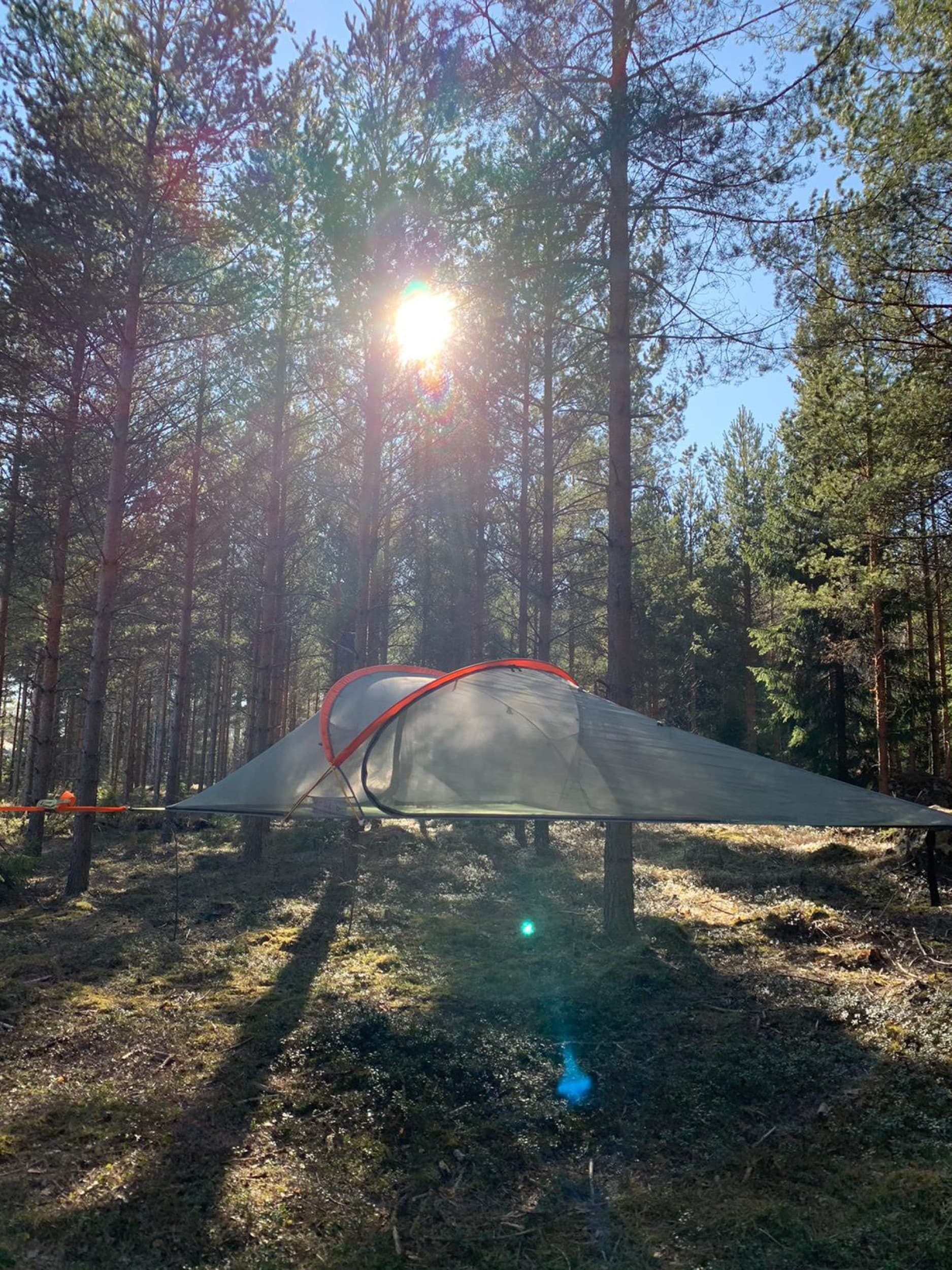 Yöpyminen puussa 1-3:lle | Tuusula