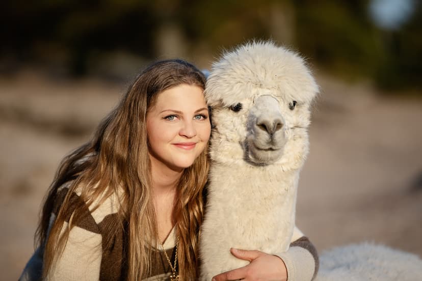 Yyterin alpakkapatikka kahdelle viikonloppuna | Pori