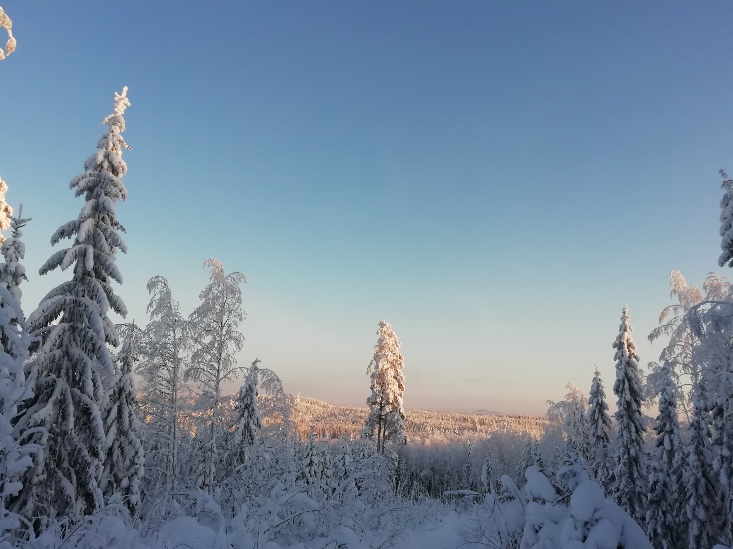 Moottorikelkkasafari kahdelle | Laukaa | Elamyslahjat