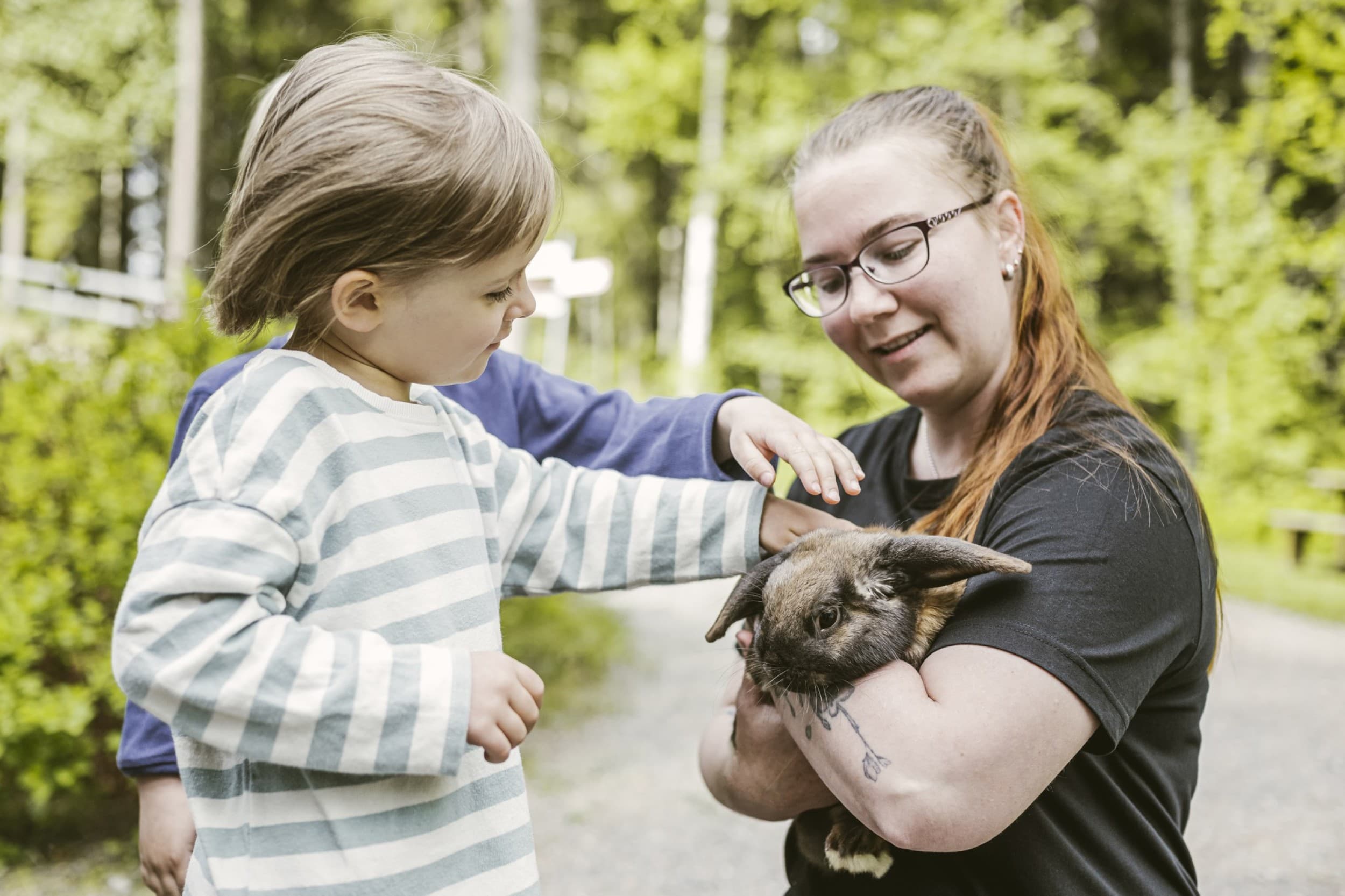 Perhelippu Puuhapuisto Veijariin | Kolkanlahti | Elamyslahjat