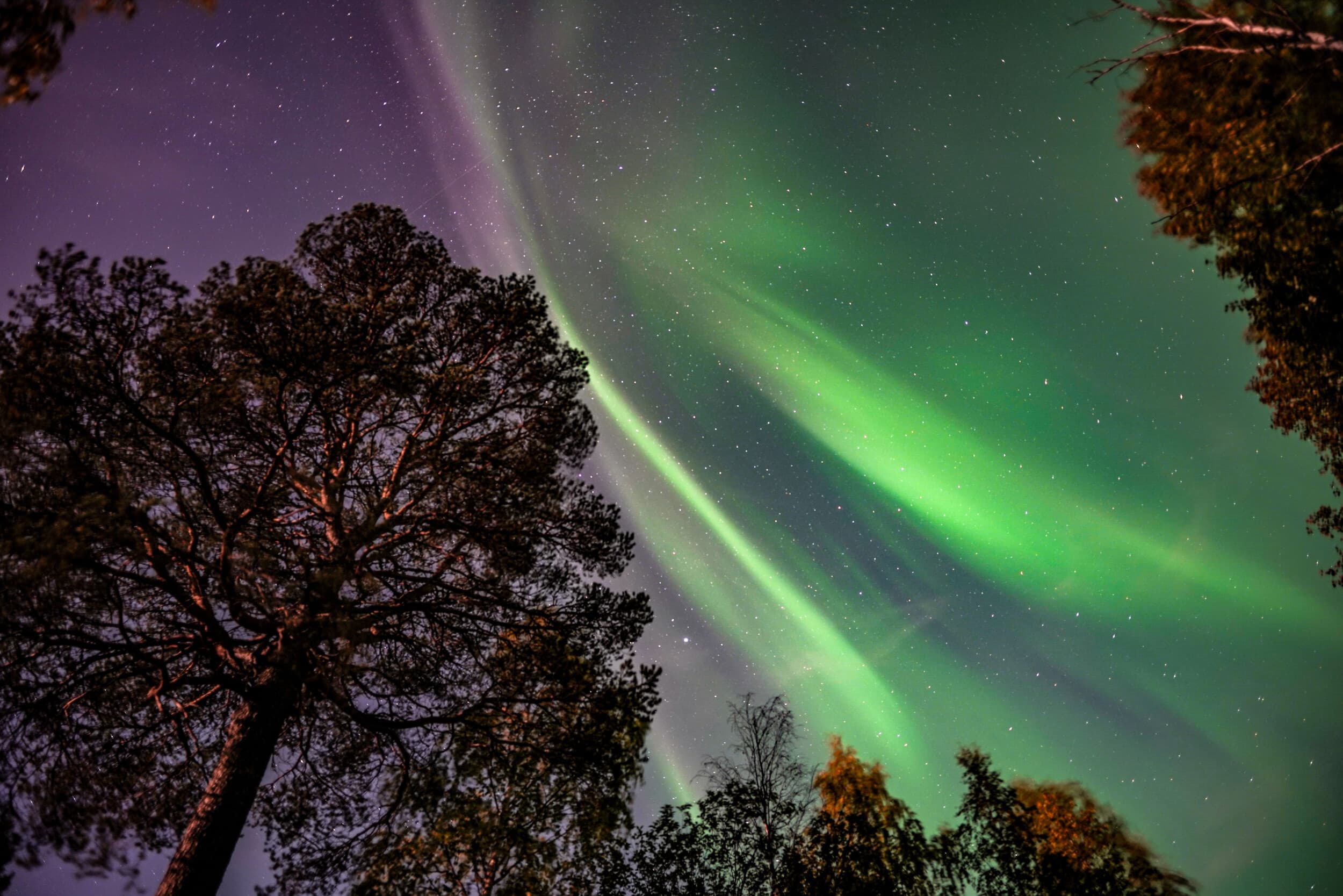 Revontulikierros hiihtäen kahdelle | Rovaniemi