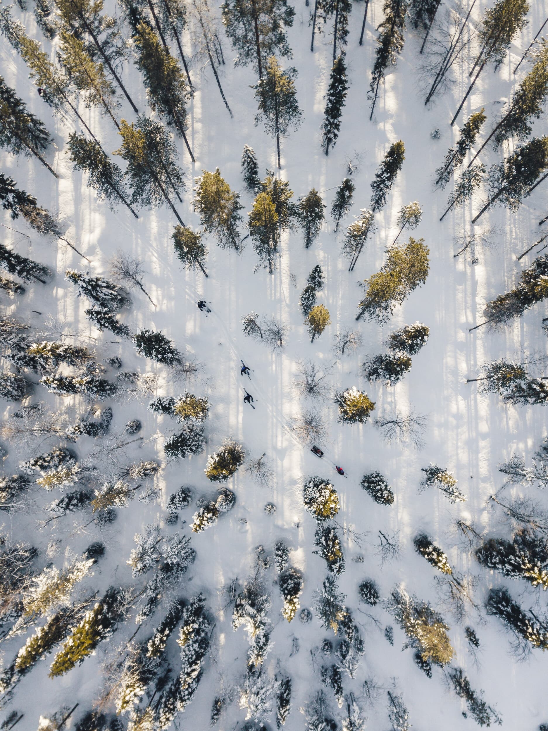 Hiihtoretki Lapissa kahdelle | Rovaniemi | Elamyslahjat