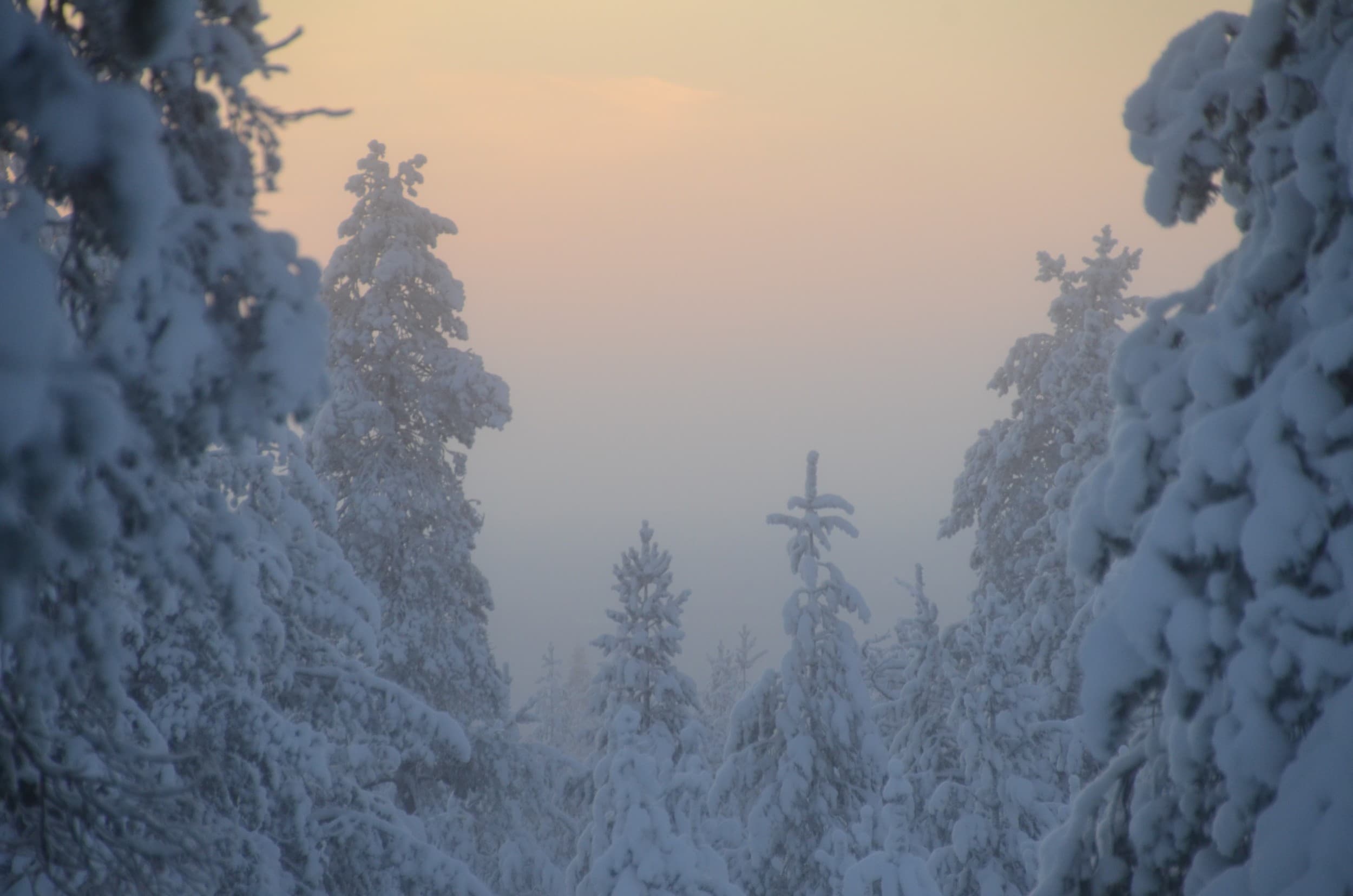 Selviytymisretki Lapissa kahdelle | Rovaniemi | Elamyslahjat