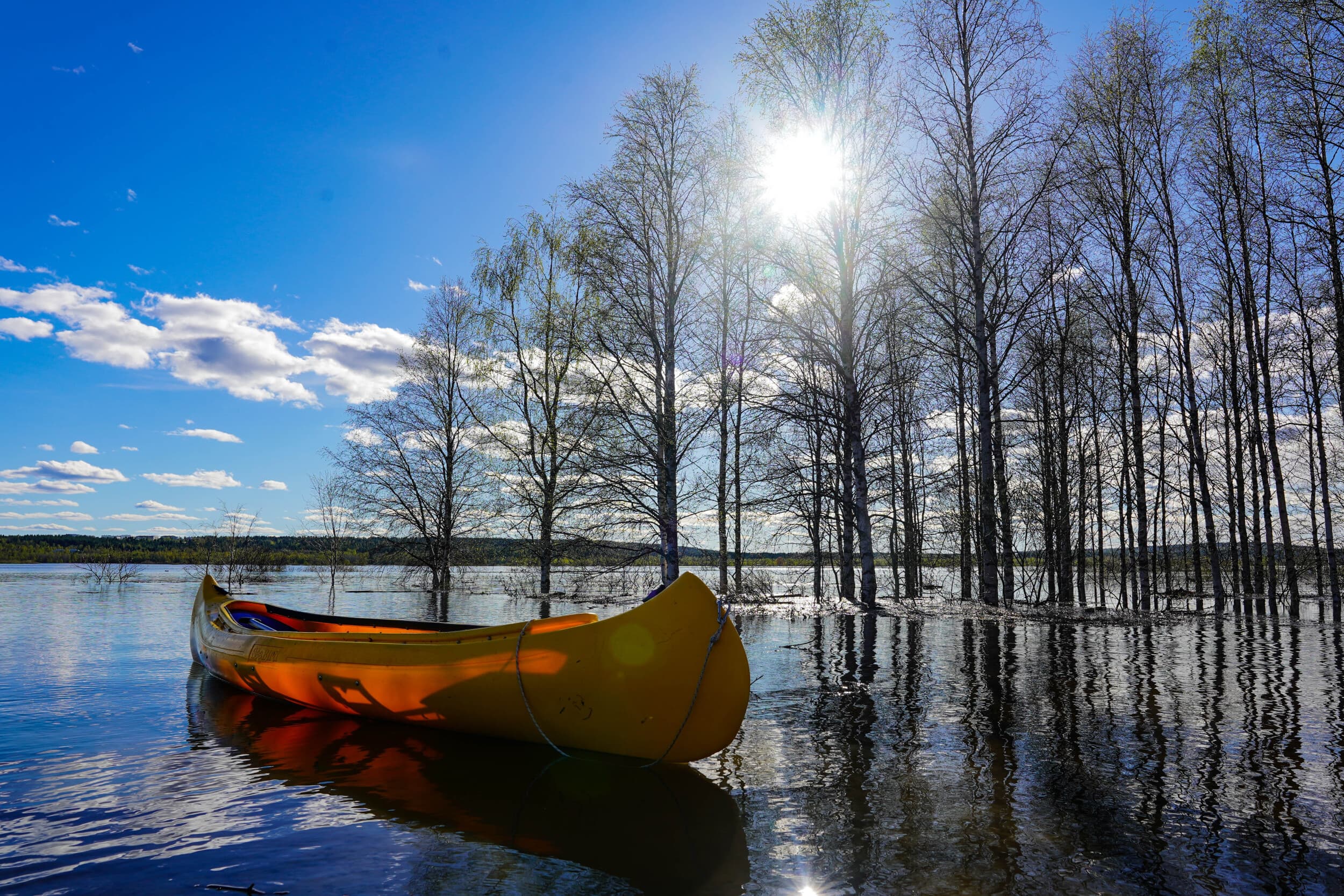 Koko päivän kanoottiretki Lapissa kahdelle | Rovaniemi