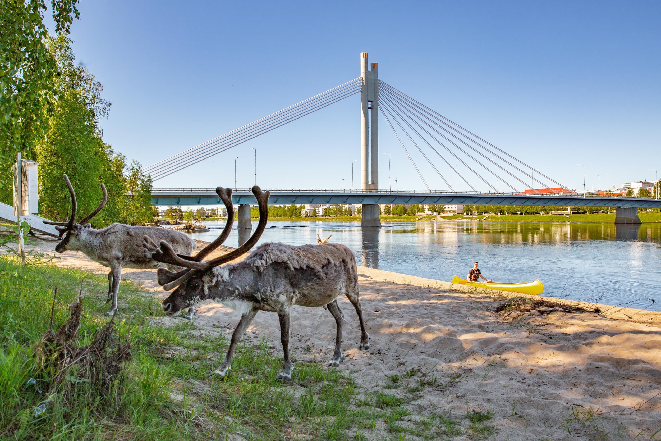 Porofarmi ja kanoottiretki kahdelle | Rovaniemi