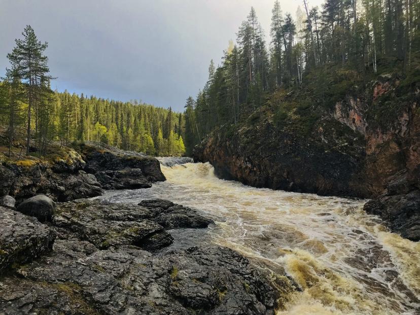 Kesäinen selviytymisretki Lapissa kahdelle | Rovaniemi