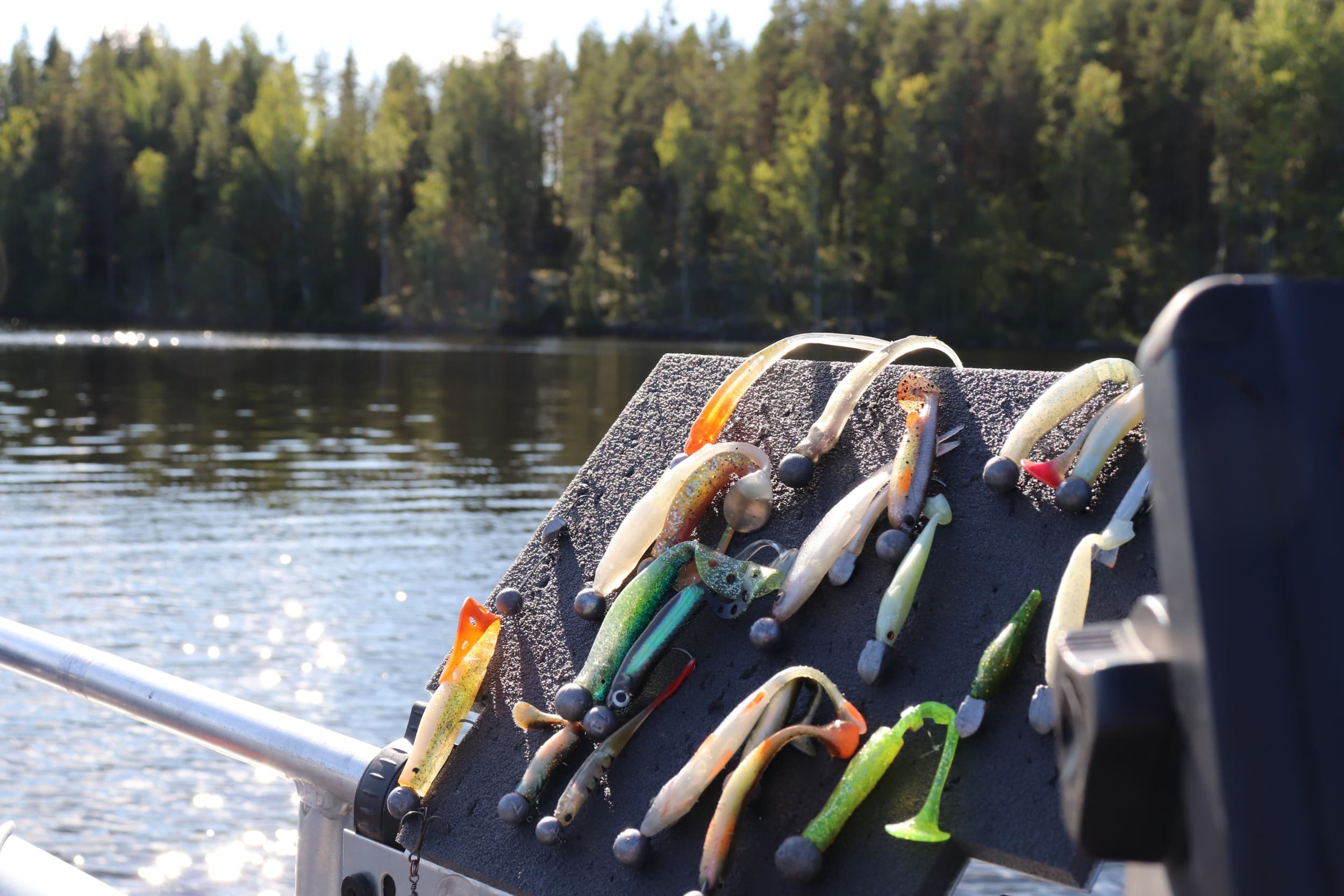 Jigikalastus Saimaalla 1-3:lle (6 tuntia) | Saimaa