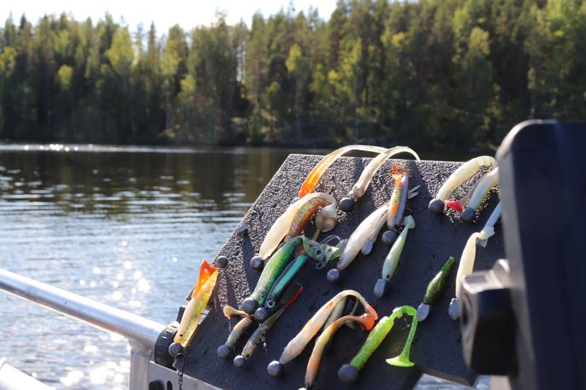 Jigikalastus Saimaalla 1-3:lle (8 tuntia) | Saimaa