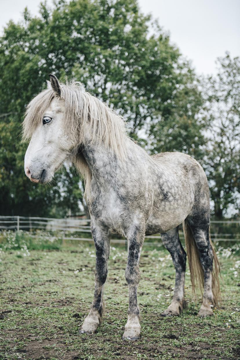 Tunnin köpöttelyvaellus Issikalla | Järvenpää