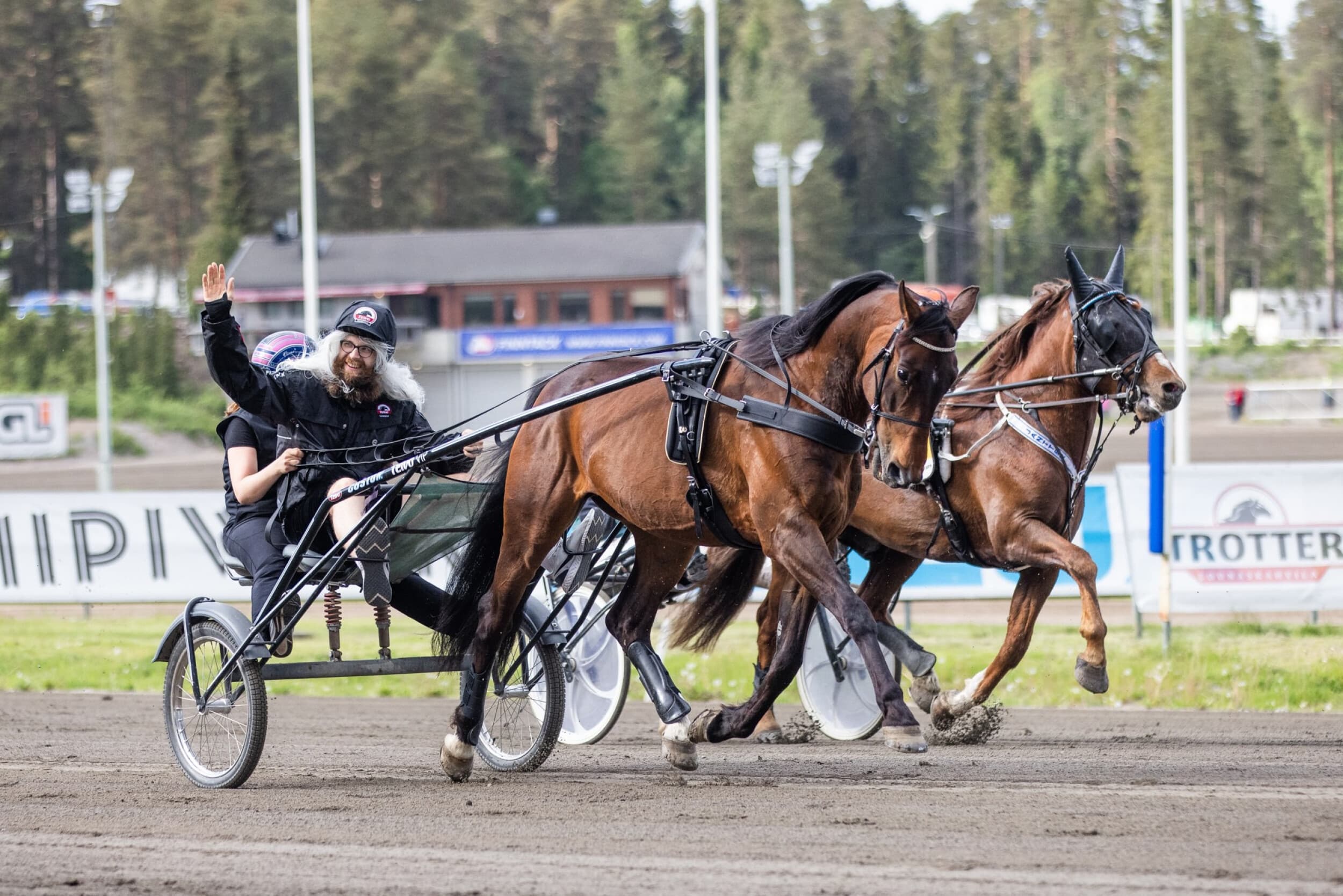 Elämysajo ravihevosella | Tampere