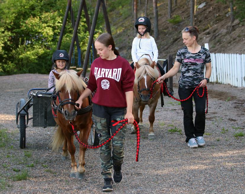 Lasten poni/kepparisynttärit (1 hlö) | Tampere
