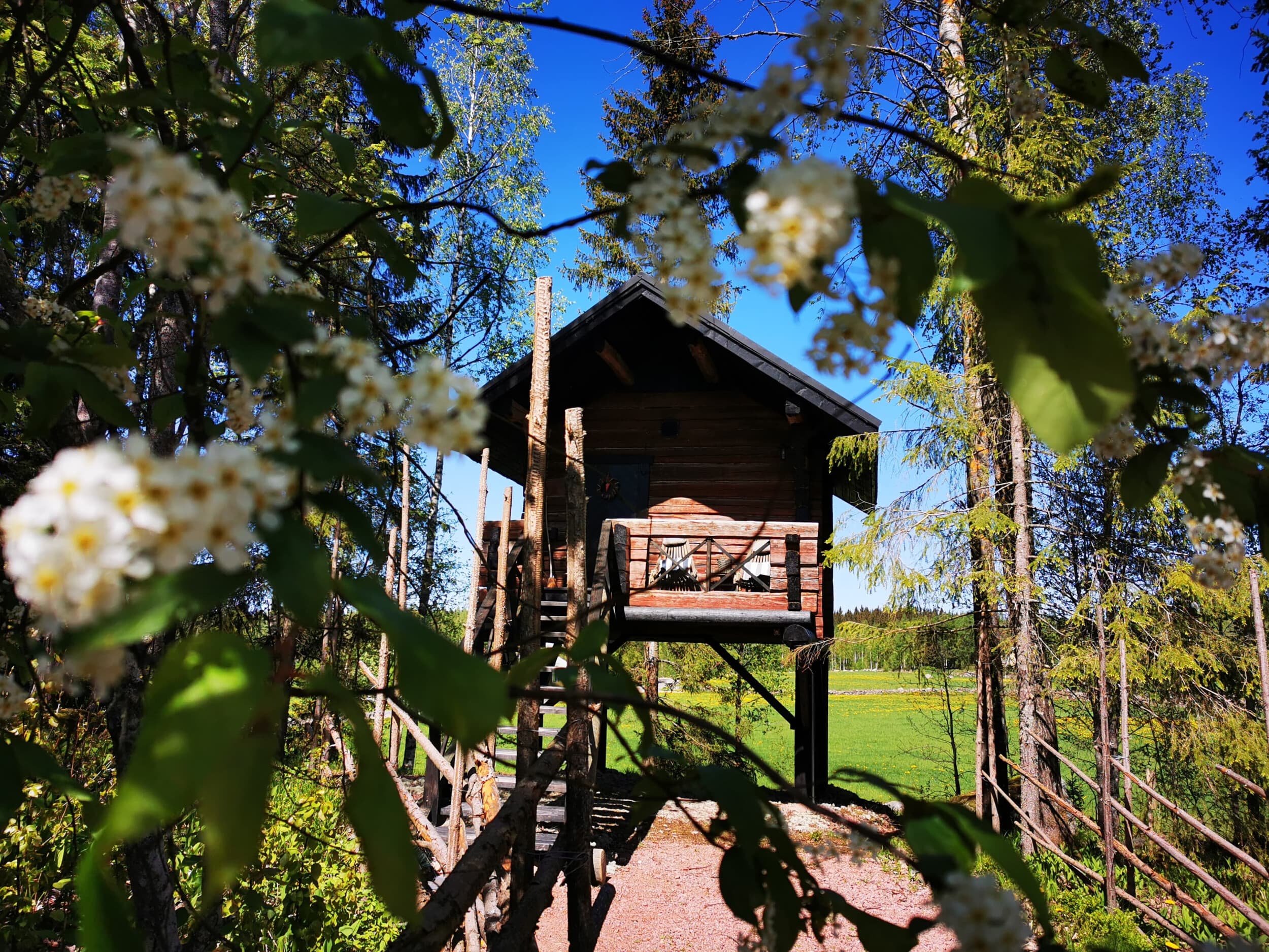 Romantiikkaa Puumaja Sydänkävyssä -vierailupaketti kahdelle | Ikaalinen | Elamyslahjat
