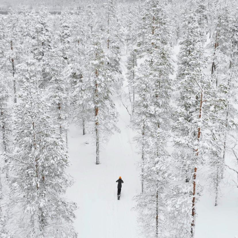 Talviretki sähkölumiskoottereilla neljälle | Puumala