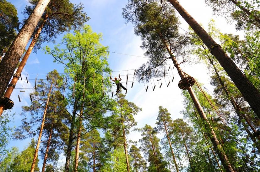 Atreenalin 3 tunnin seikkailulippu, perhe (2+2) | Lappeenranta