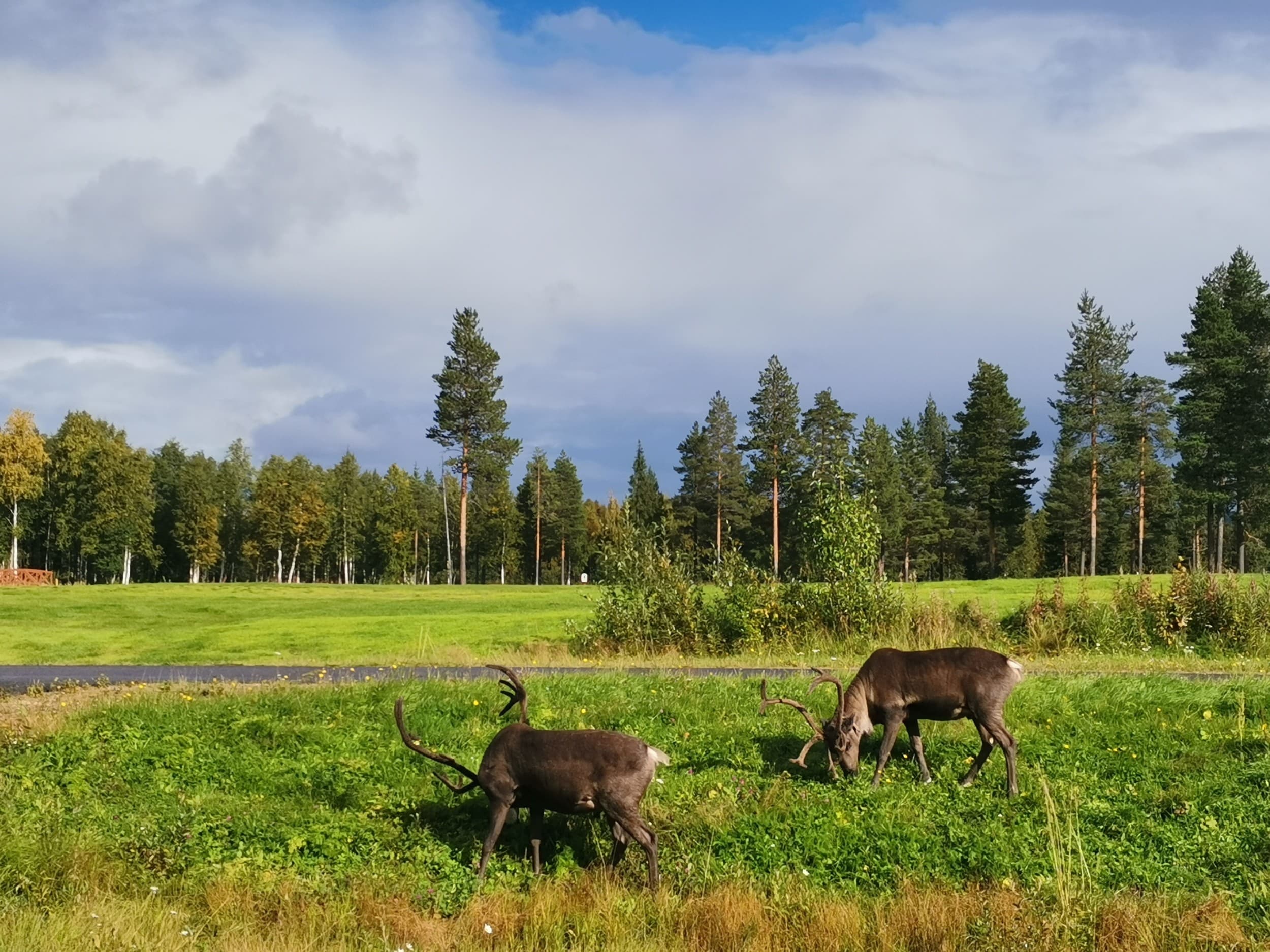 Viikonloppu lasi-iglussa kahdelle | Sirkka | Elamyslahjat