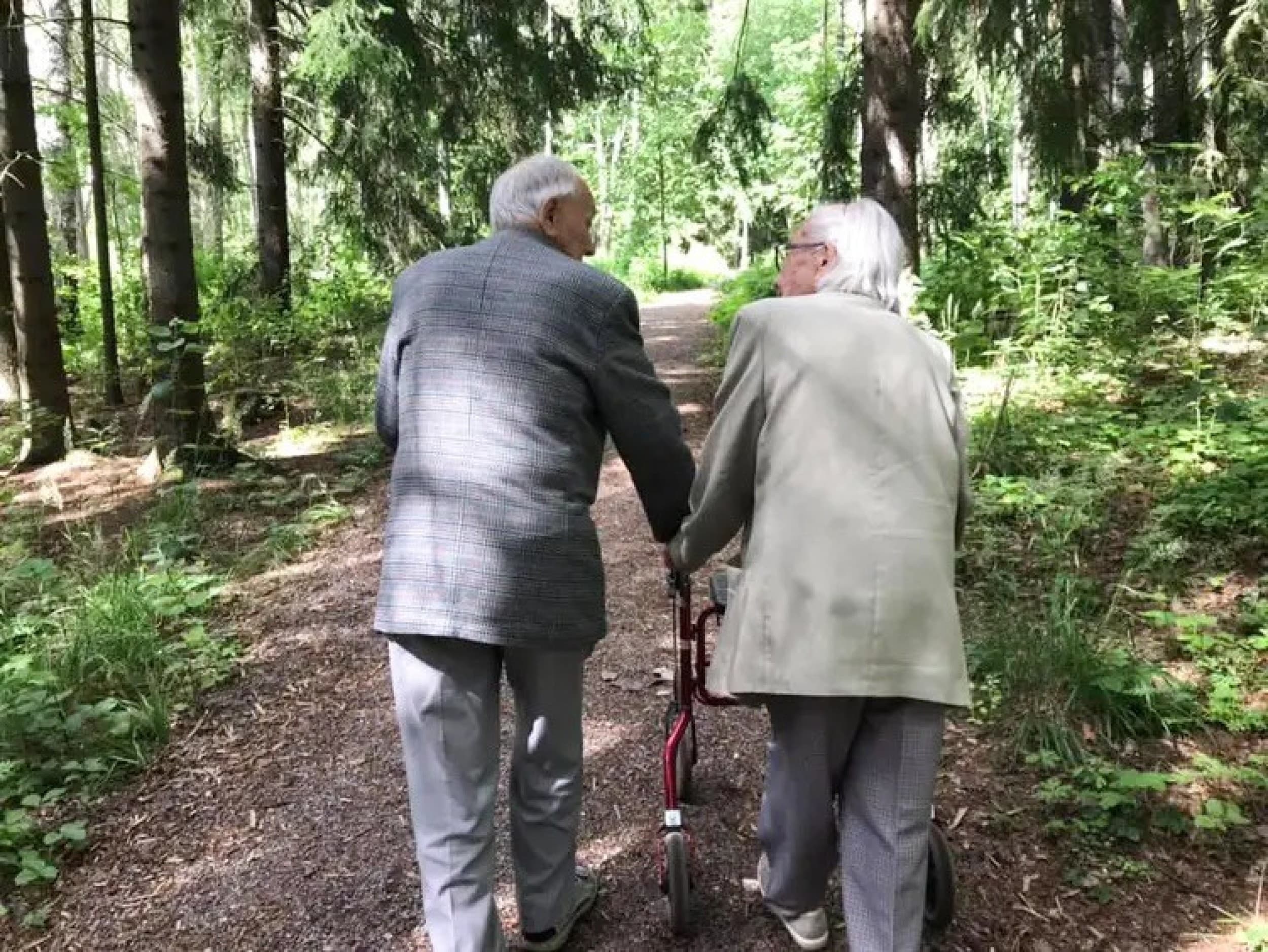 Ulkoilmaelämys ikäihmisille | Järvenpää | Elamyslahjat