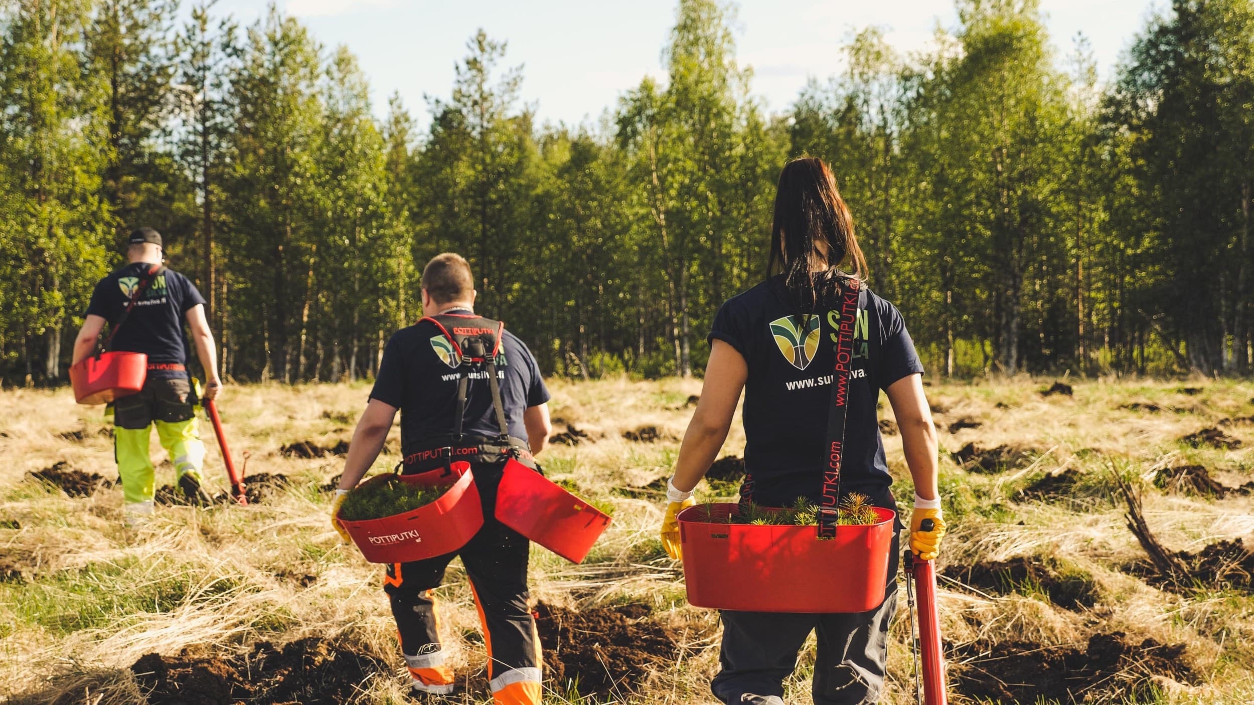 Luontoteko uudismetsään | Online