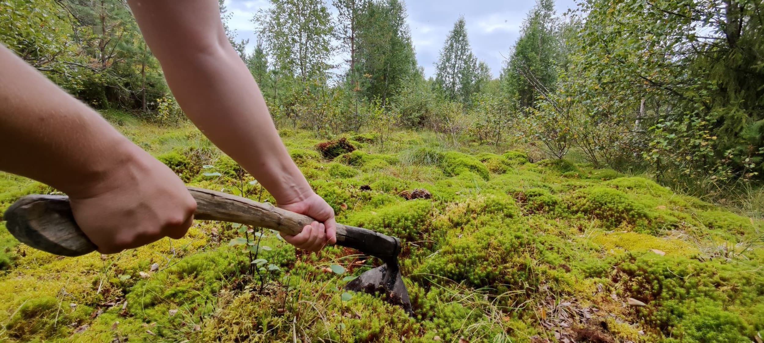 Luontoteko™ parempimetsään | Online | Elamyslahjat