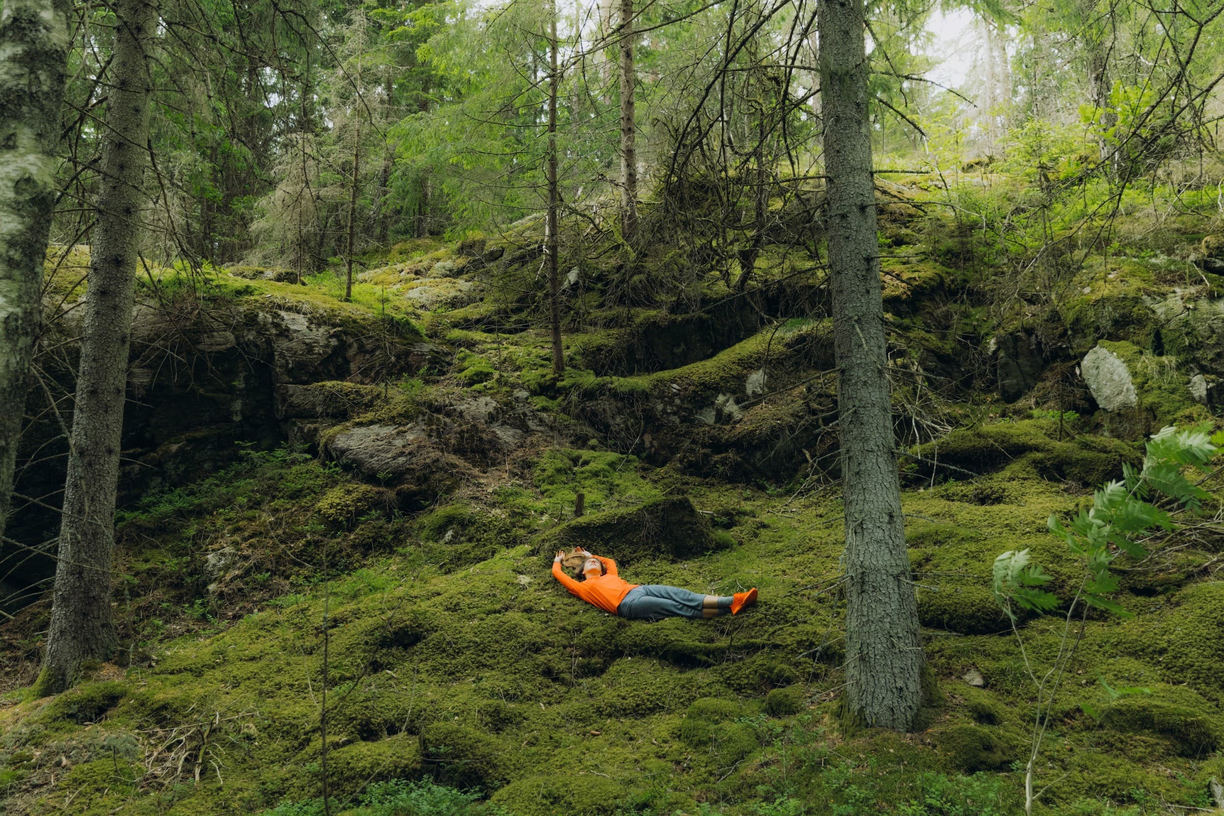 Ohjattu Mindfulness-retki metsään 1-7:lle | Pääkaupunkiseutu