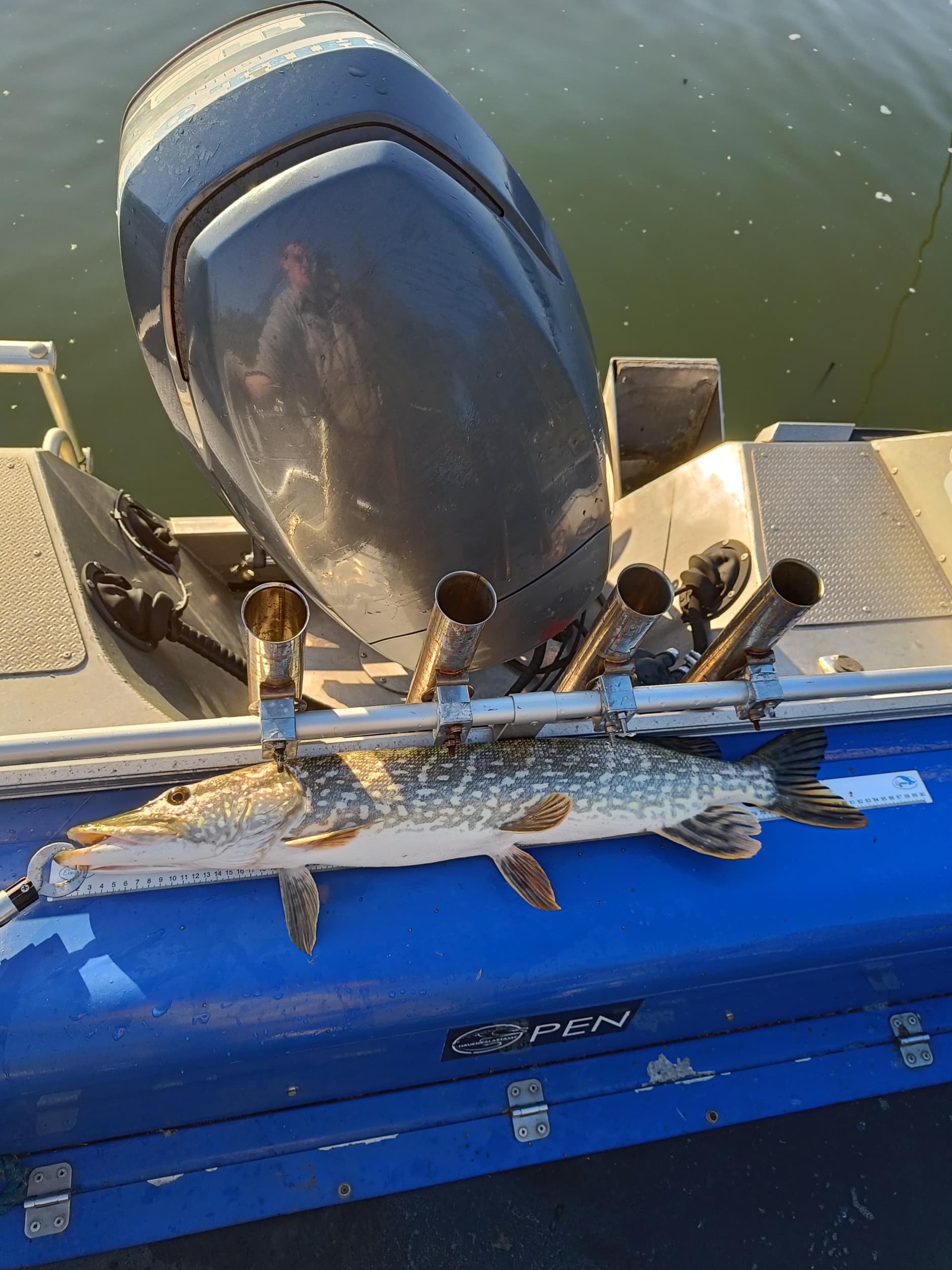 Avoin lahjakortti 50 € - Chill Out Fishing | Kemiönsaari | Sauvo | Salo | Parainen | Elamyslahjat