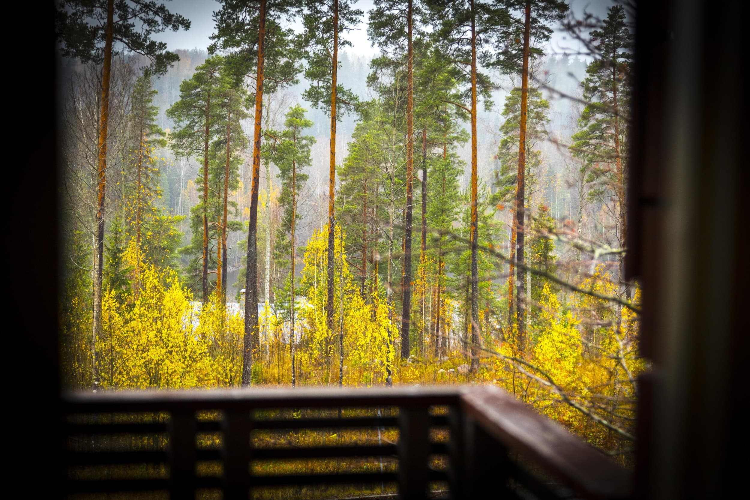 Kahden yön hemmotteluloma pariskunnille Nuuksion kansallispuistossa | Espoo | Elamyslahjat
