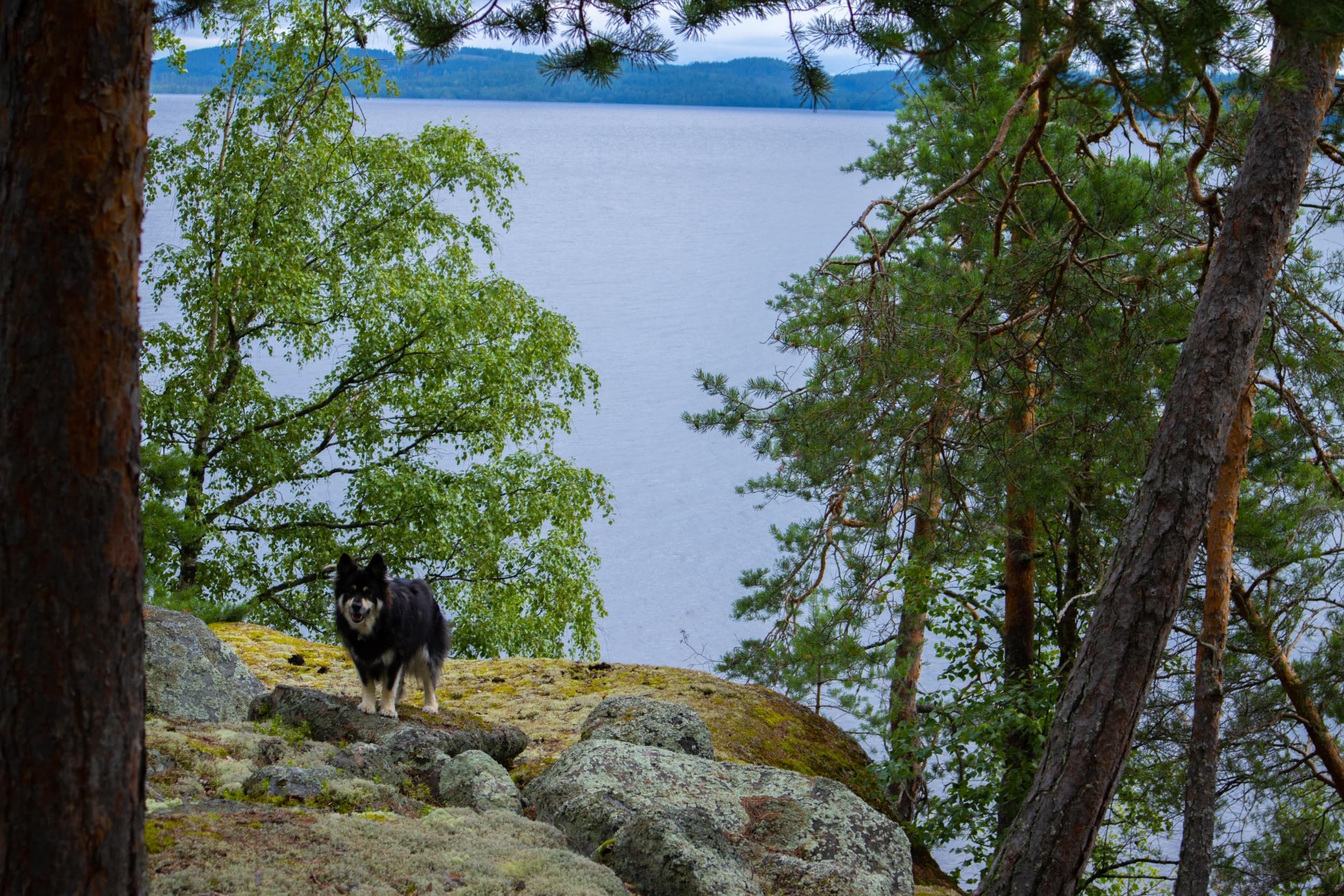Elämyksellinen luksusmajoituspaketti teltassa kahdelle (2 yötä) | Muurame | Elamyslahjat