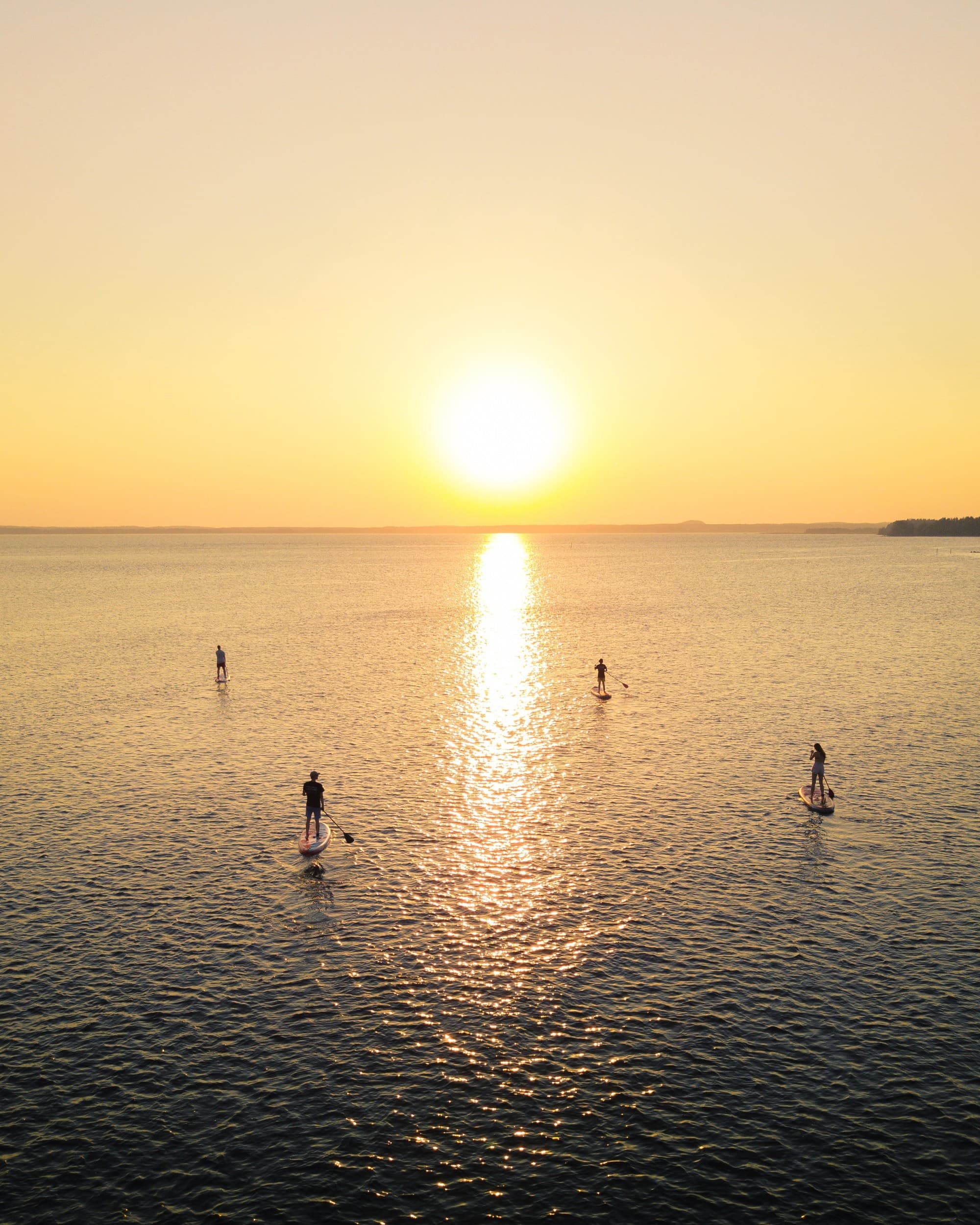 SUP-lautailua yhdelle 60 min | Joensuu
