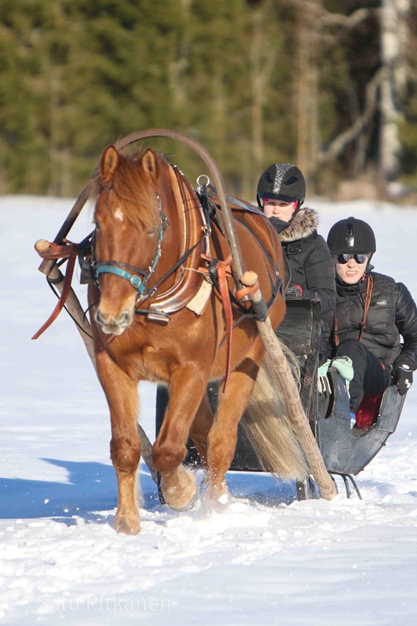 Rekiajelu 60 min yhdelle | Kouvola | Elamyslahjat