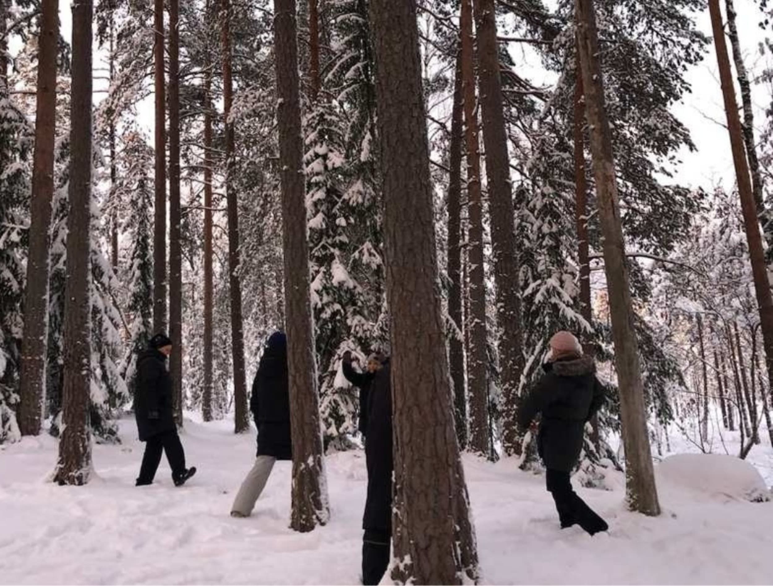 Meditatiivinen metsäkylpyretki luontoon 2-8:lle | Lahti | Elamyslahjat
