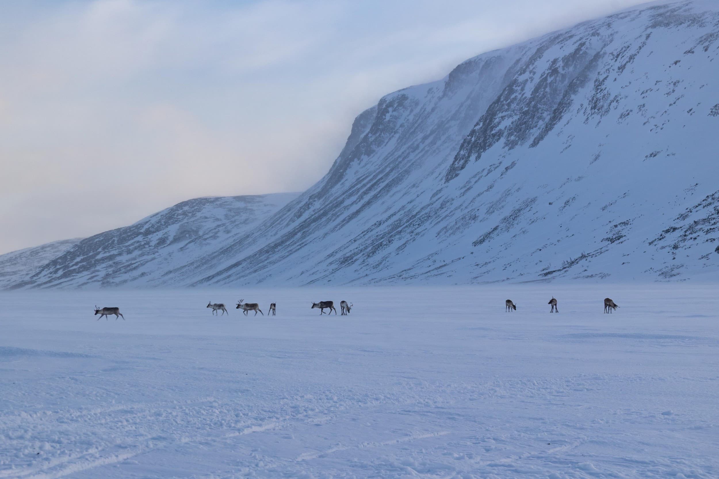 Tundraseikkailu moottorikelkoilla | Kilpisjärvi | Elamyslahjat