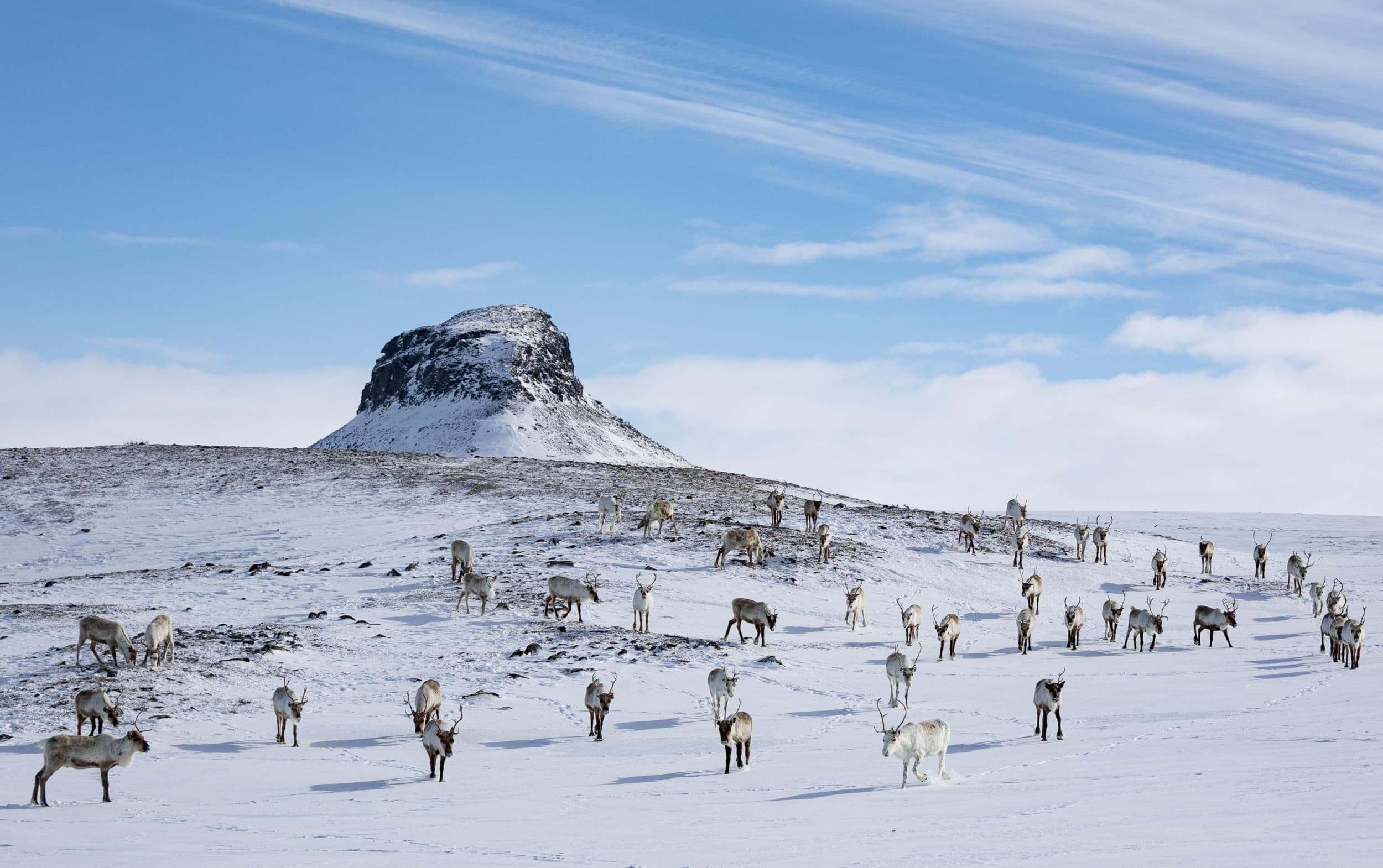 Haltitunturin huiputus moottorikelkoilla | Kilpisjärvi | Elamyslahjat
