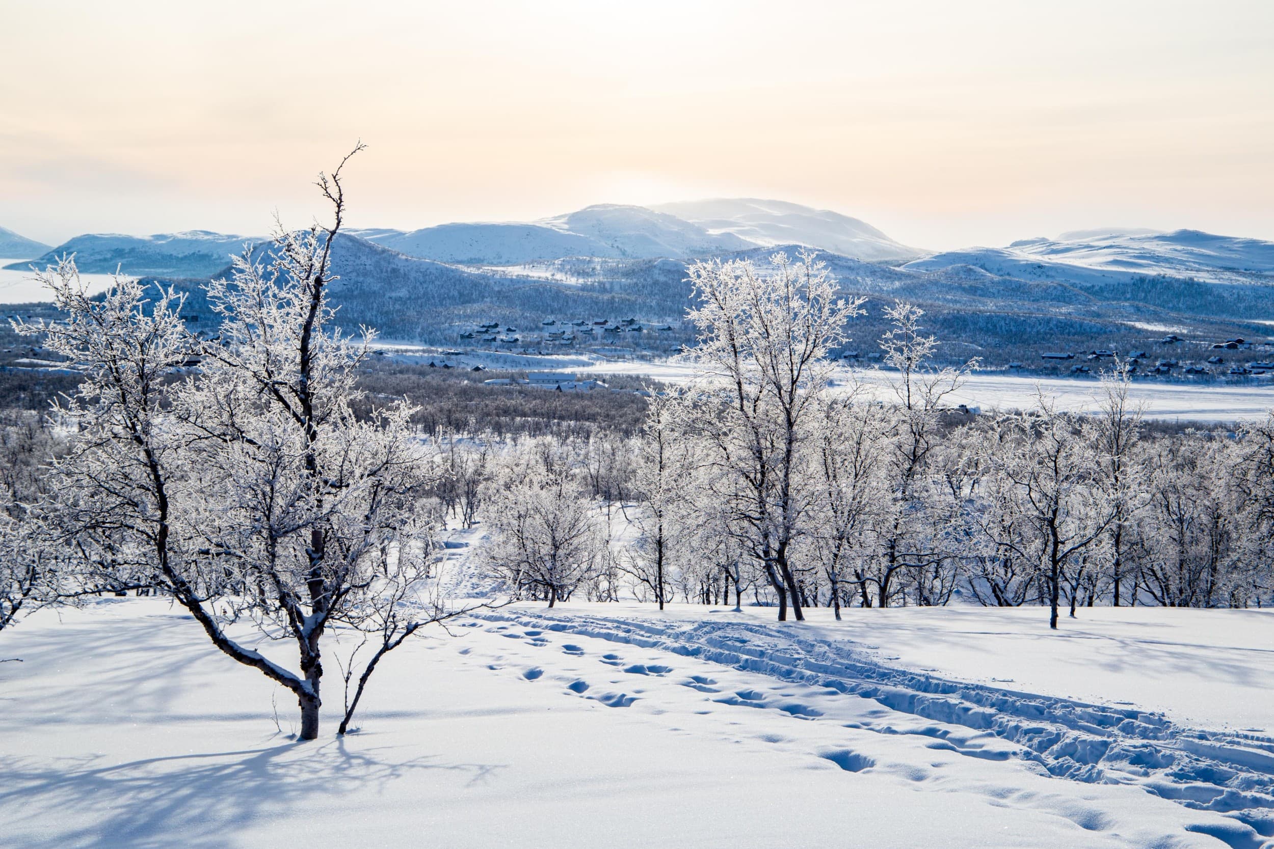 Lumikenkäretki Saanan maisemissa | Kilpisjärvi | Elamyslahjat