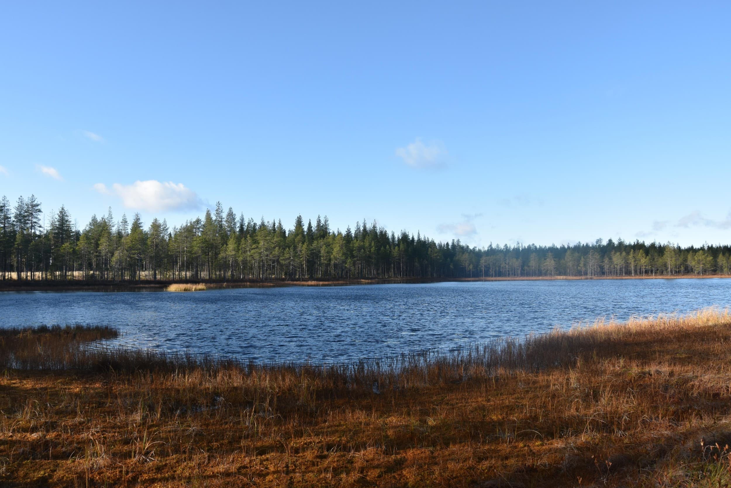 Suon laulu – Kalevala experience | Kuhmo | Elamyslahjat
