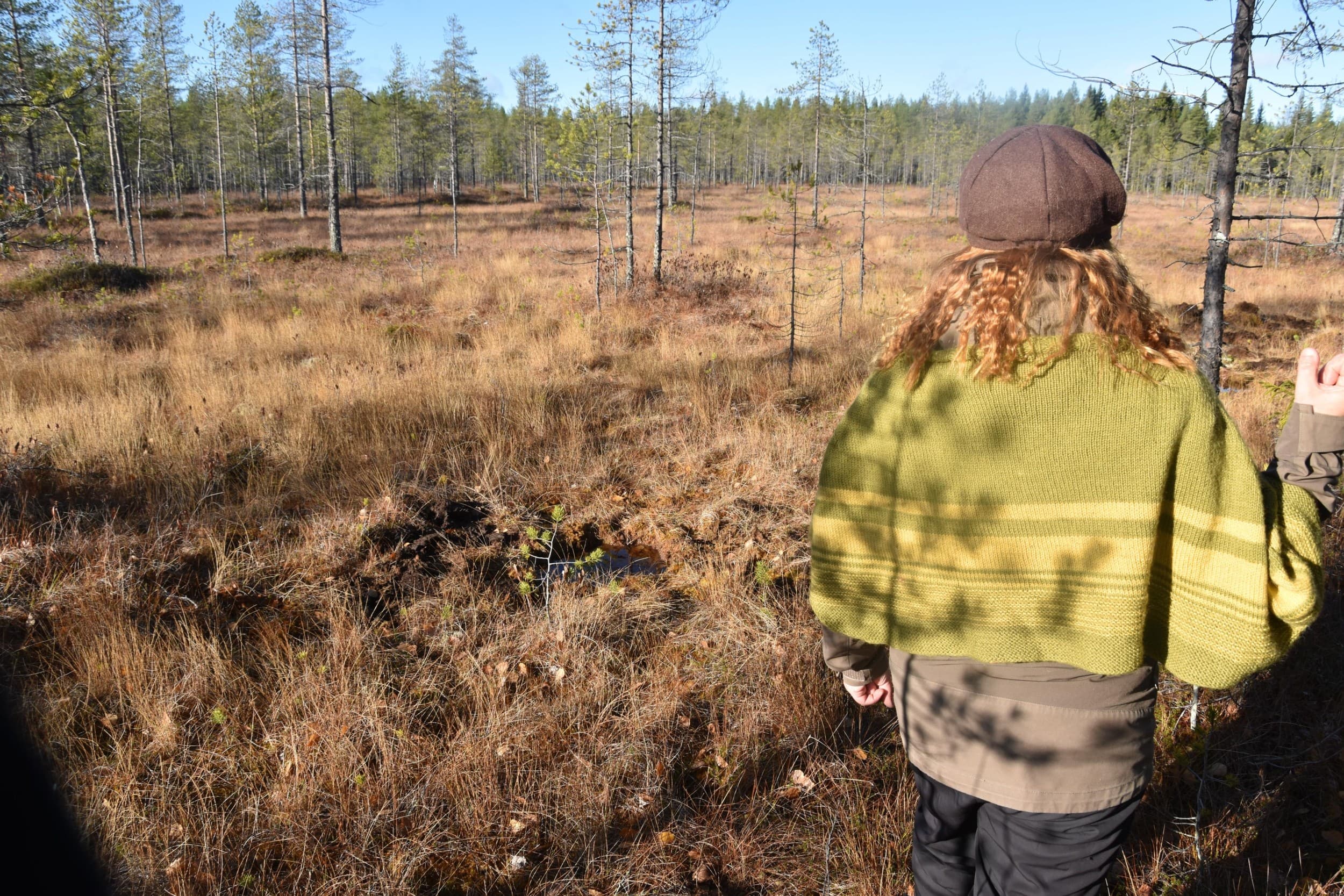 Suon laulu – Kalevala experience | Kuhmo | Elamyslahjat