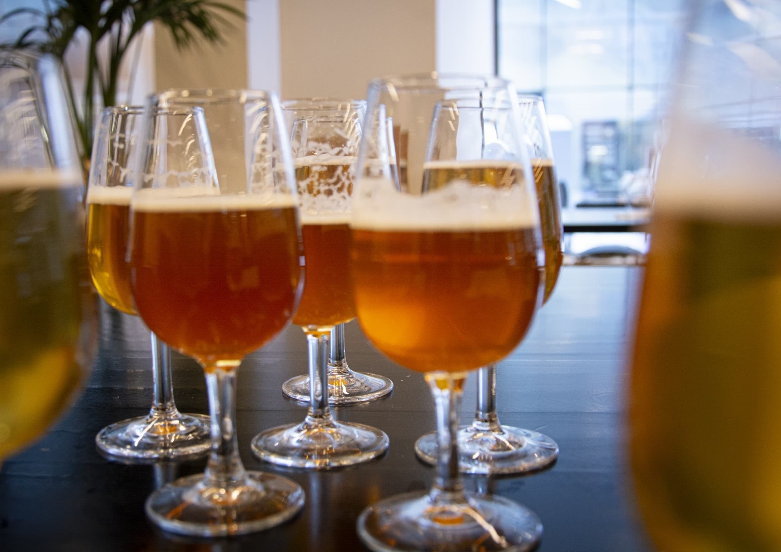 Perhon Panimon olut-tasting 15:lle | Helsinki | Elamyslahjat