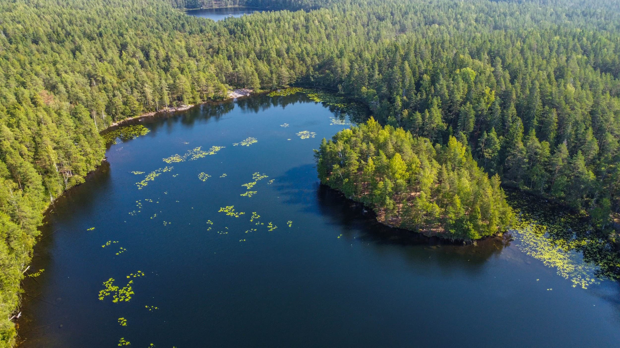 Nuuksion kansallispuiston patikointi + nuotiolounas