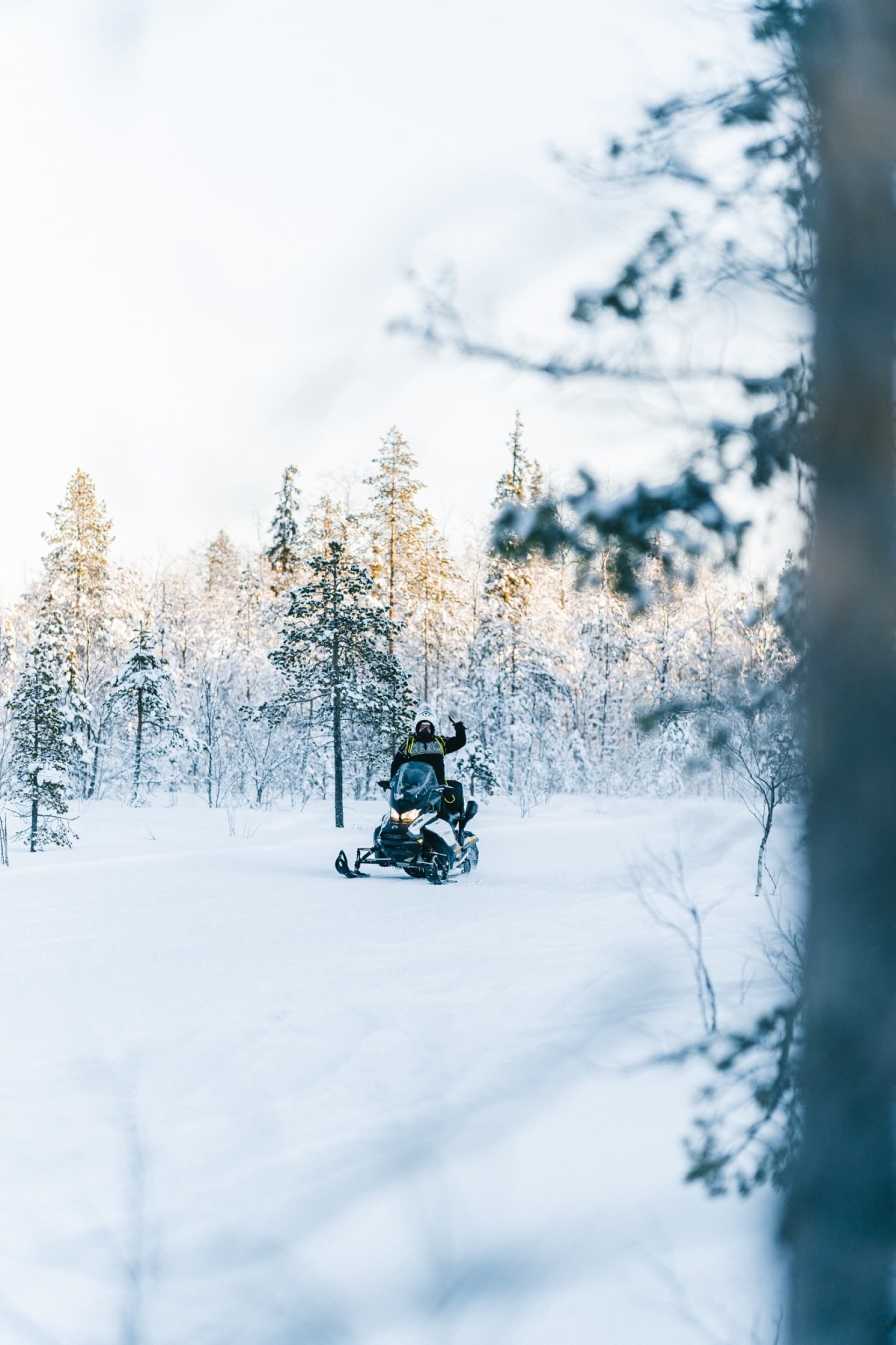 Moottorikelkkasafari aikuiselle | Levi