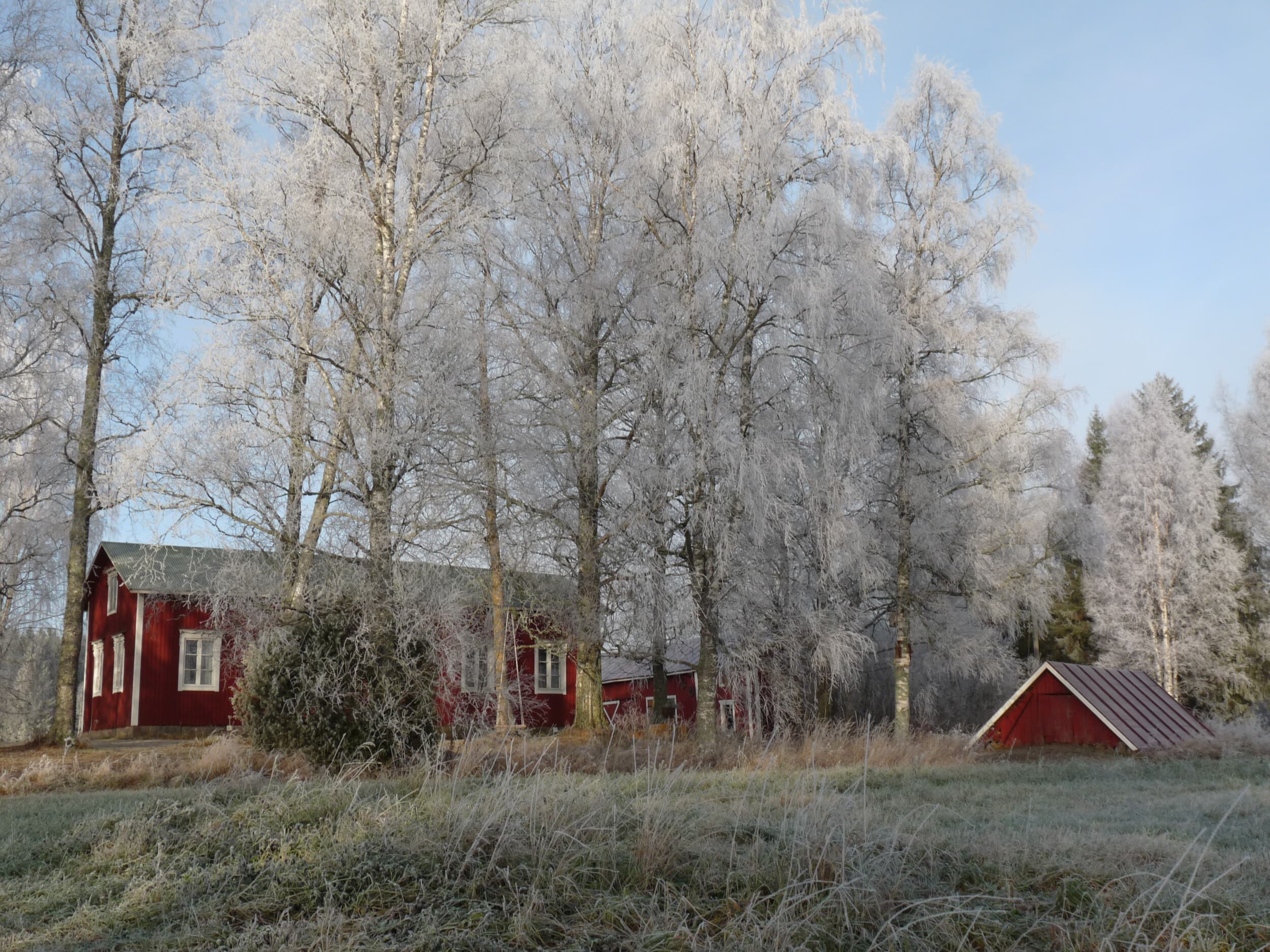 Mindfulness-kurssi | Seinäjoki | Elamyslahjat