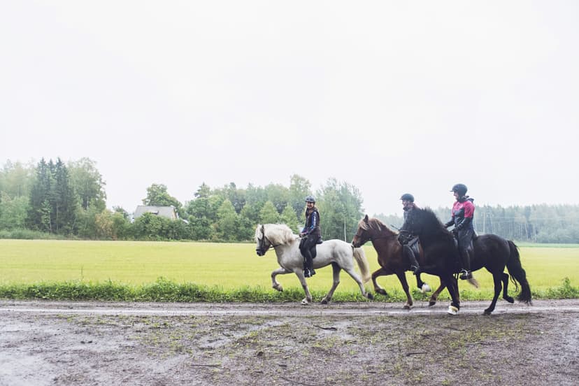 Ratsastuskurssi | Järvenpää