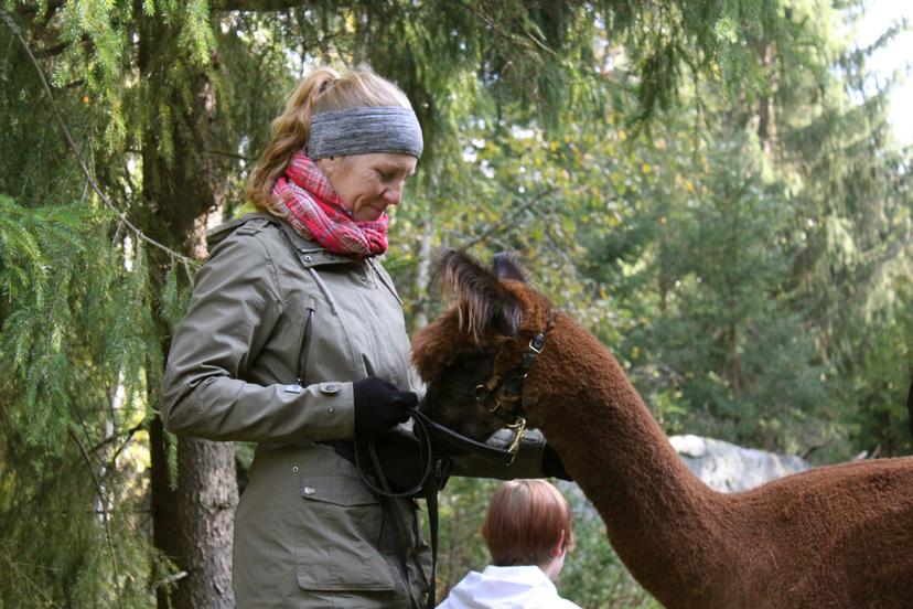 Ahlaisten alpakkapatikka kahdelle arkena | Pori